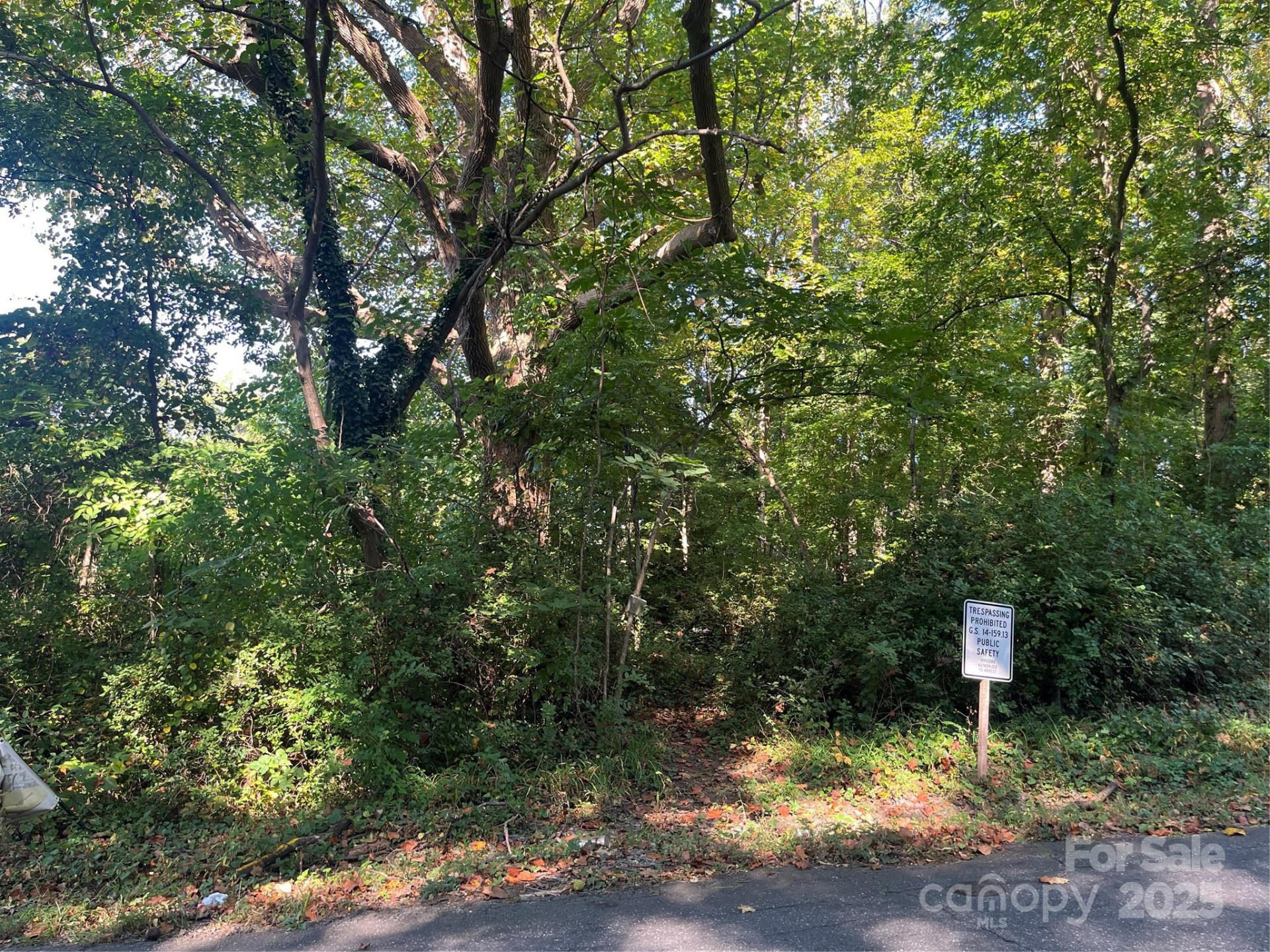 249, 250 McDowell Street - Photo 2