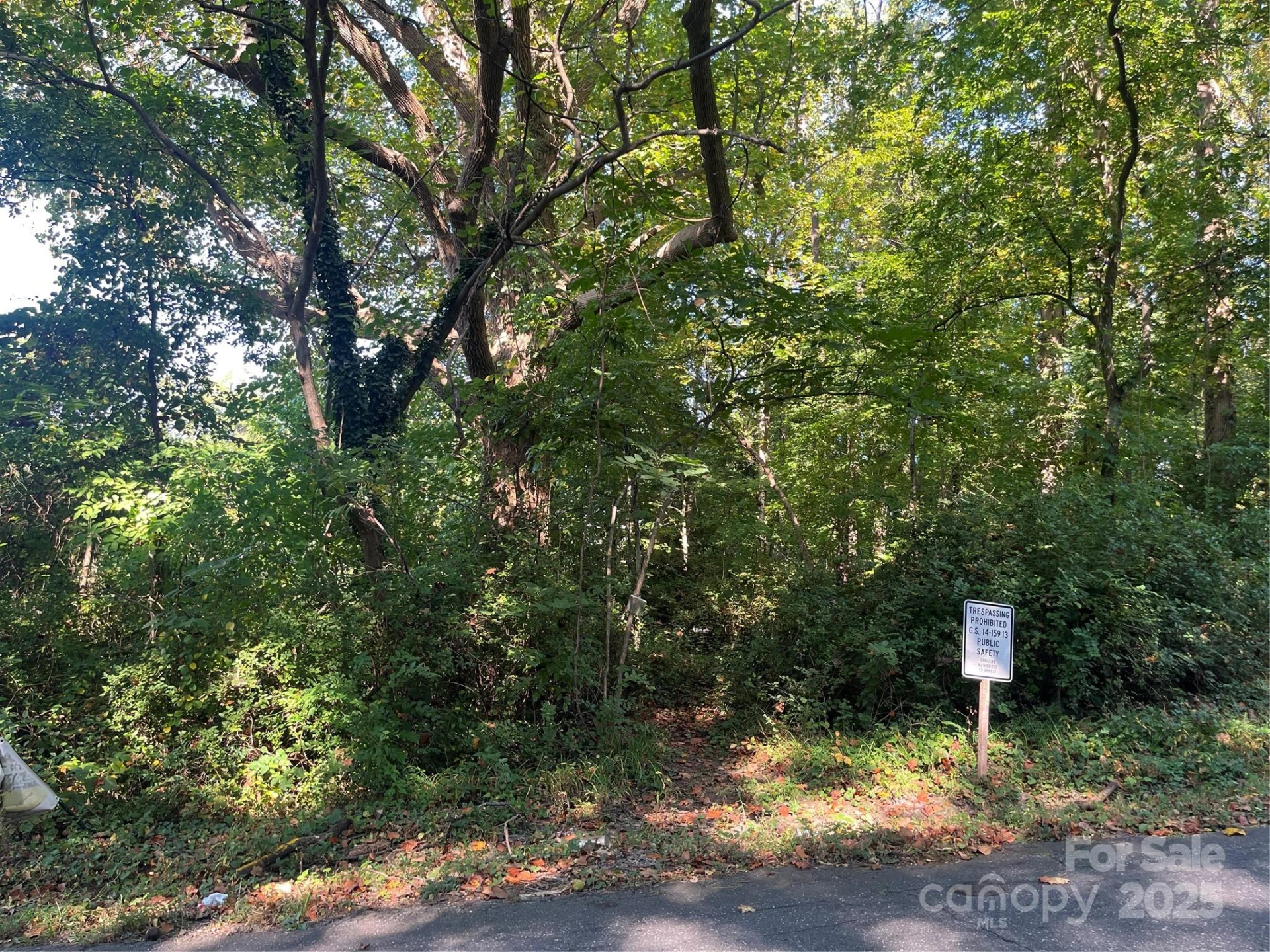 249, 250 McDowell Street - Photo 2