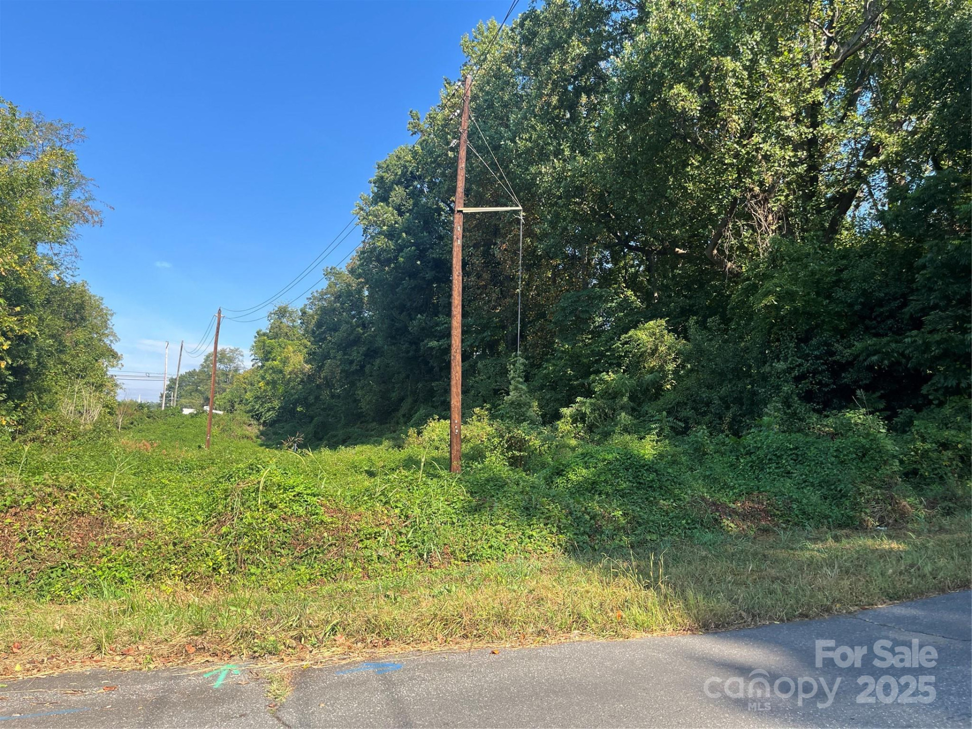 249, 250 McDowell Street - Photo 3