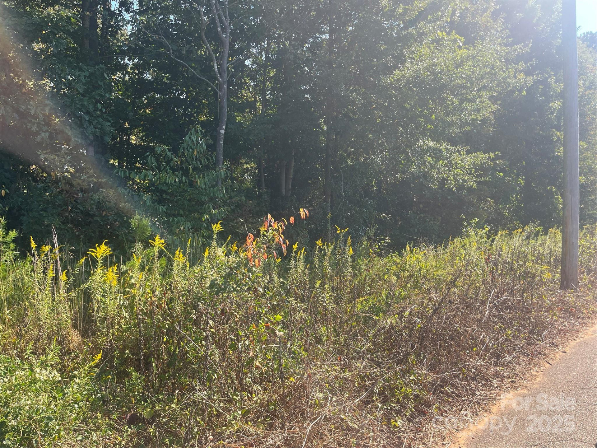 205 Craftsman Drive - Photo 2