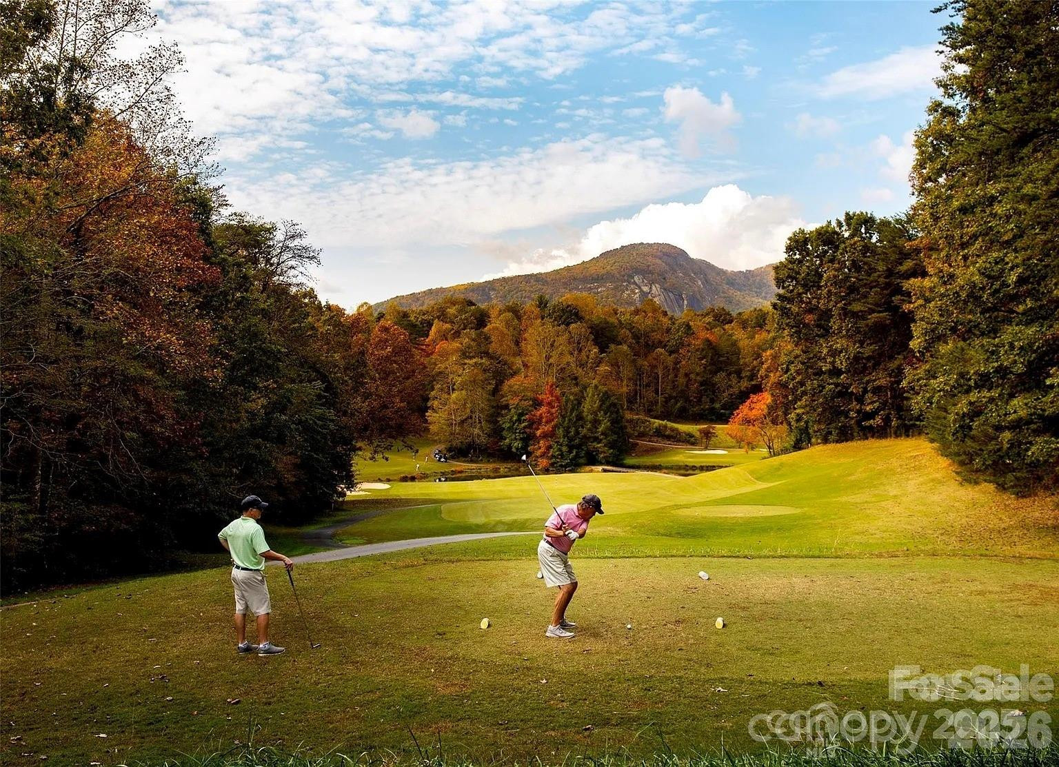 352 Bolt Road - Photo 49