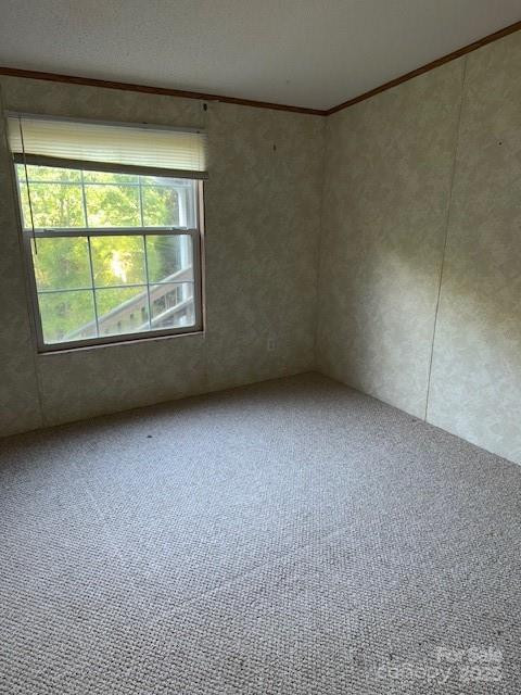 623 Shadowood Drive - Photo 12
