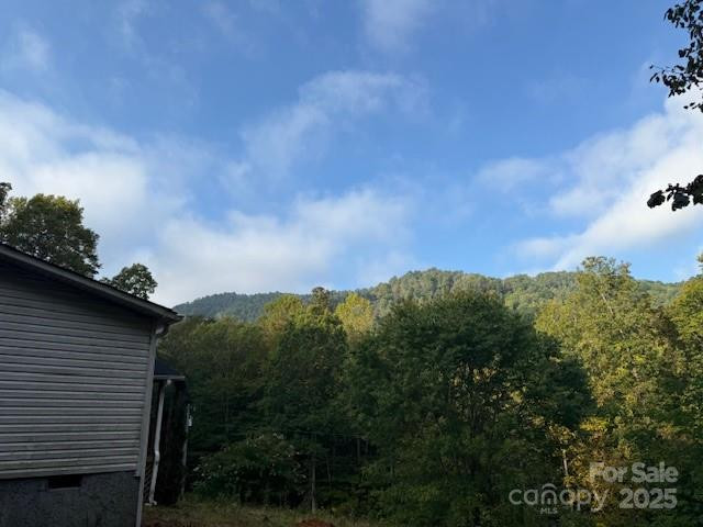 623 Shadowood Drive - Photo 3