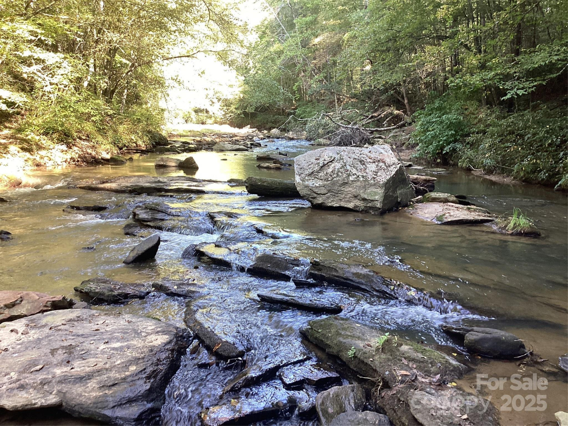00 Chestnut Oak Trail