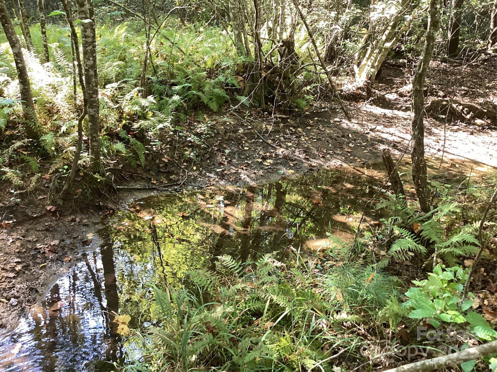 00 Chestnut Oak Trail - Photo 15
