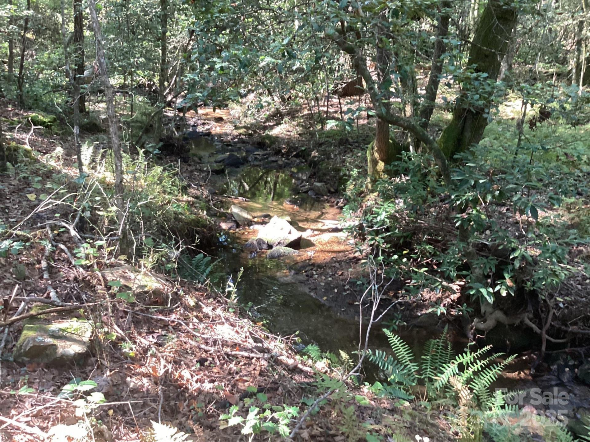 00 Chestnut Oak Trail - Photo 17