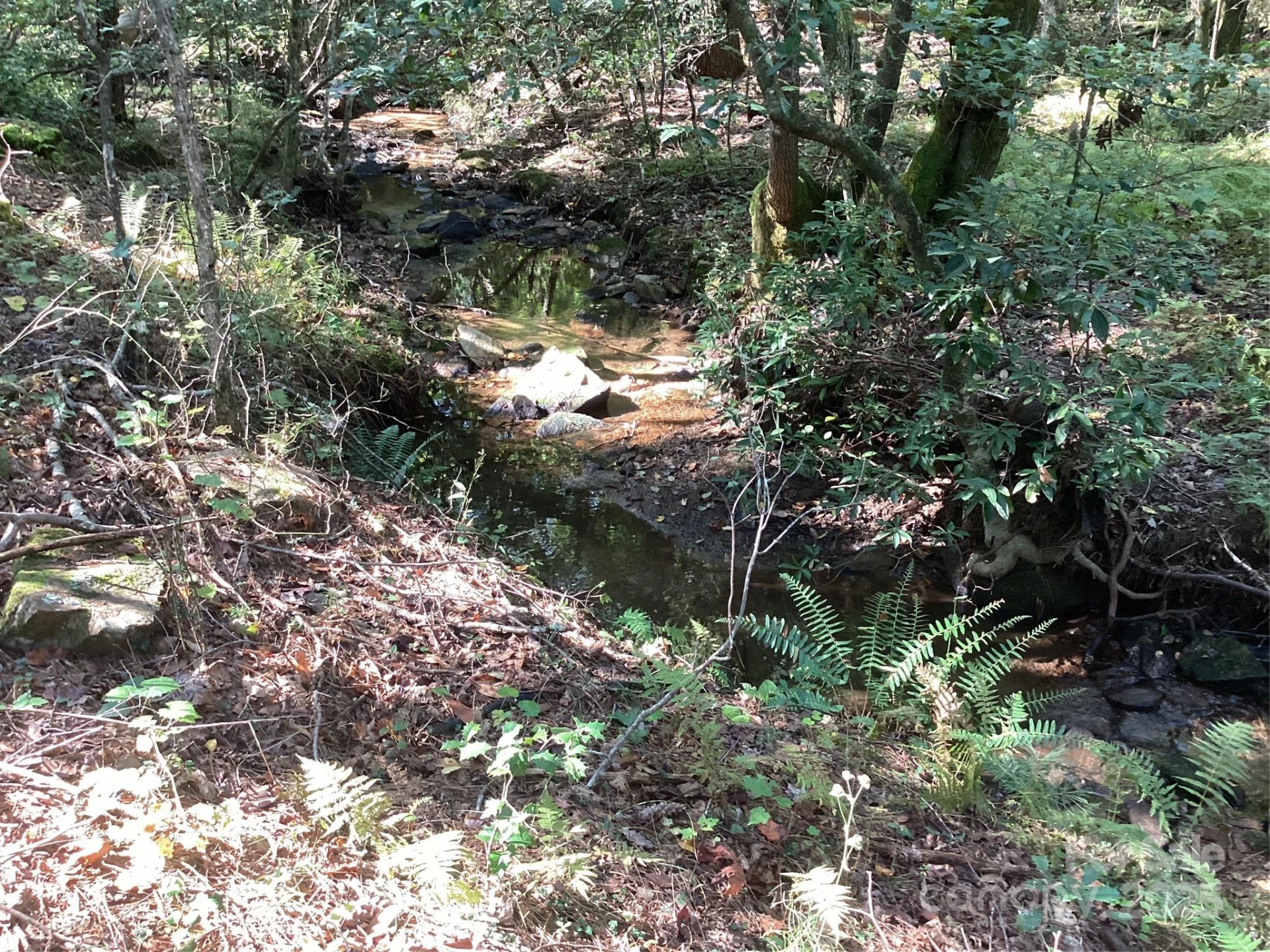 00 Chestnut Oak Trail - Photo 18