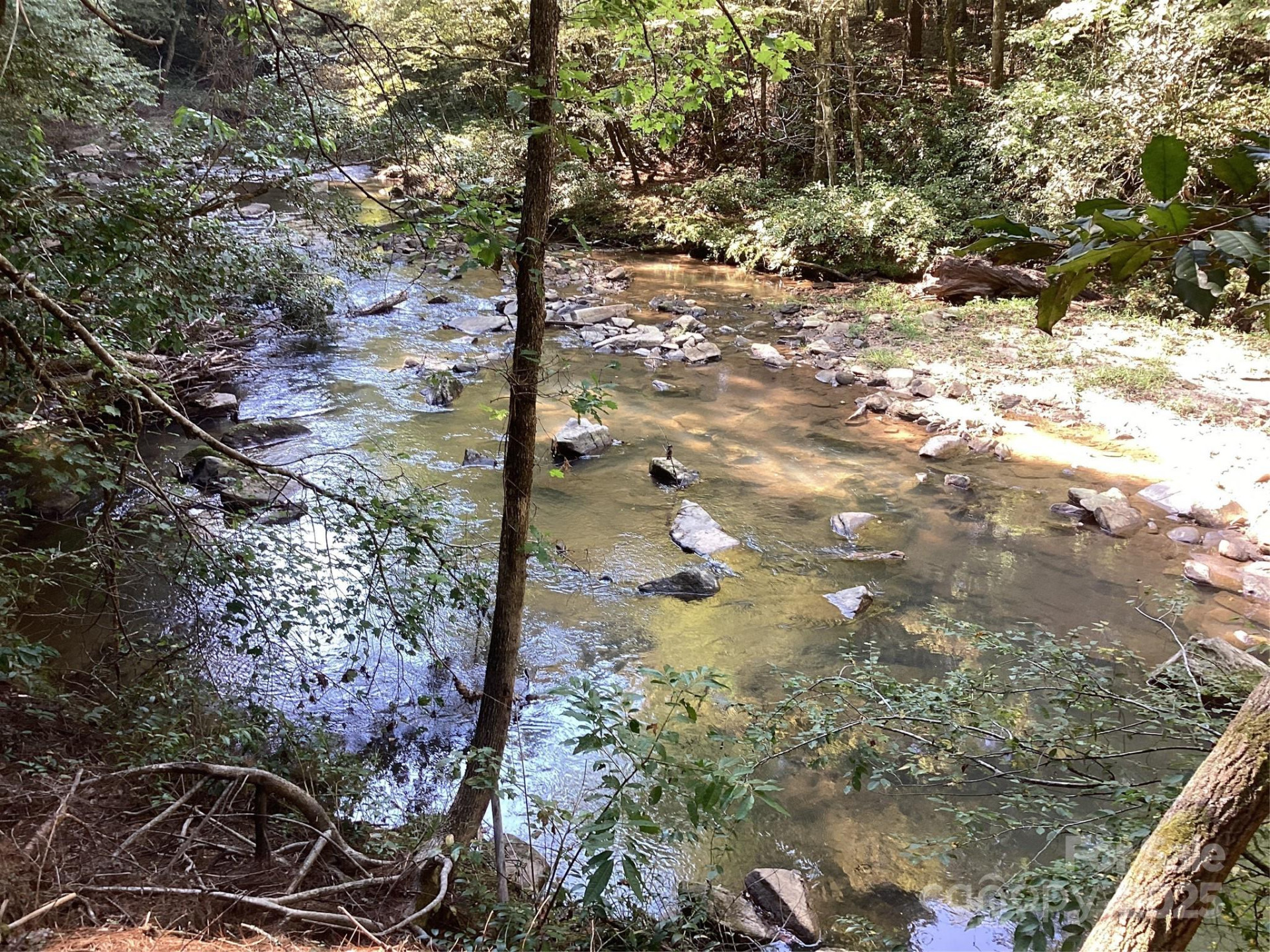 00 Chestnut Oak Trail - Photo 19
