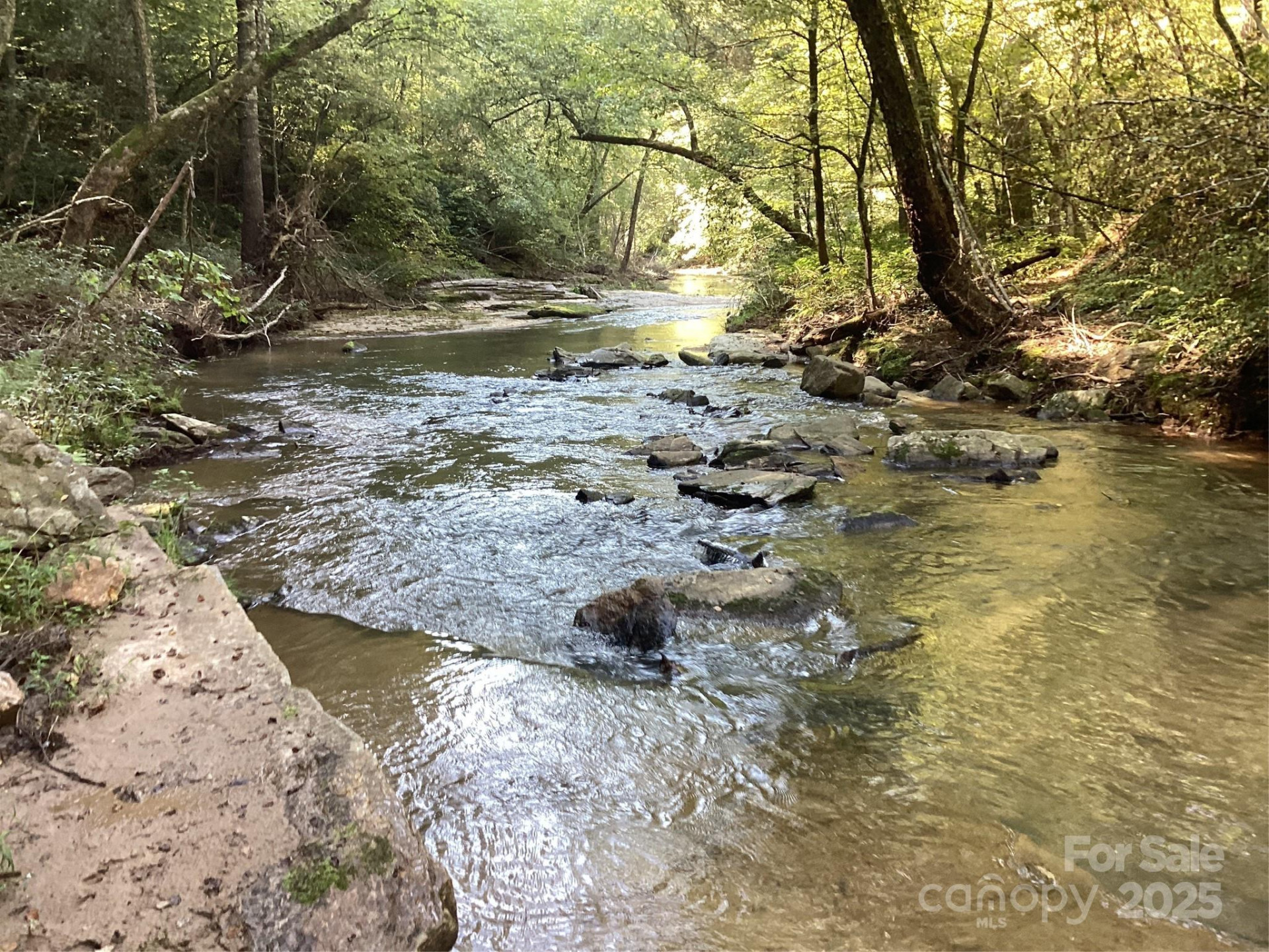 00 Chestnut Oak Trail - Photo 20