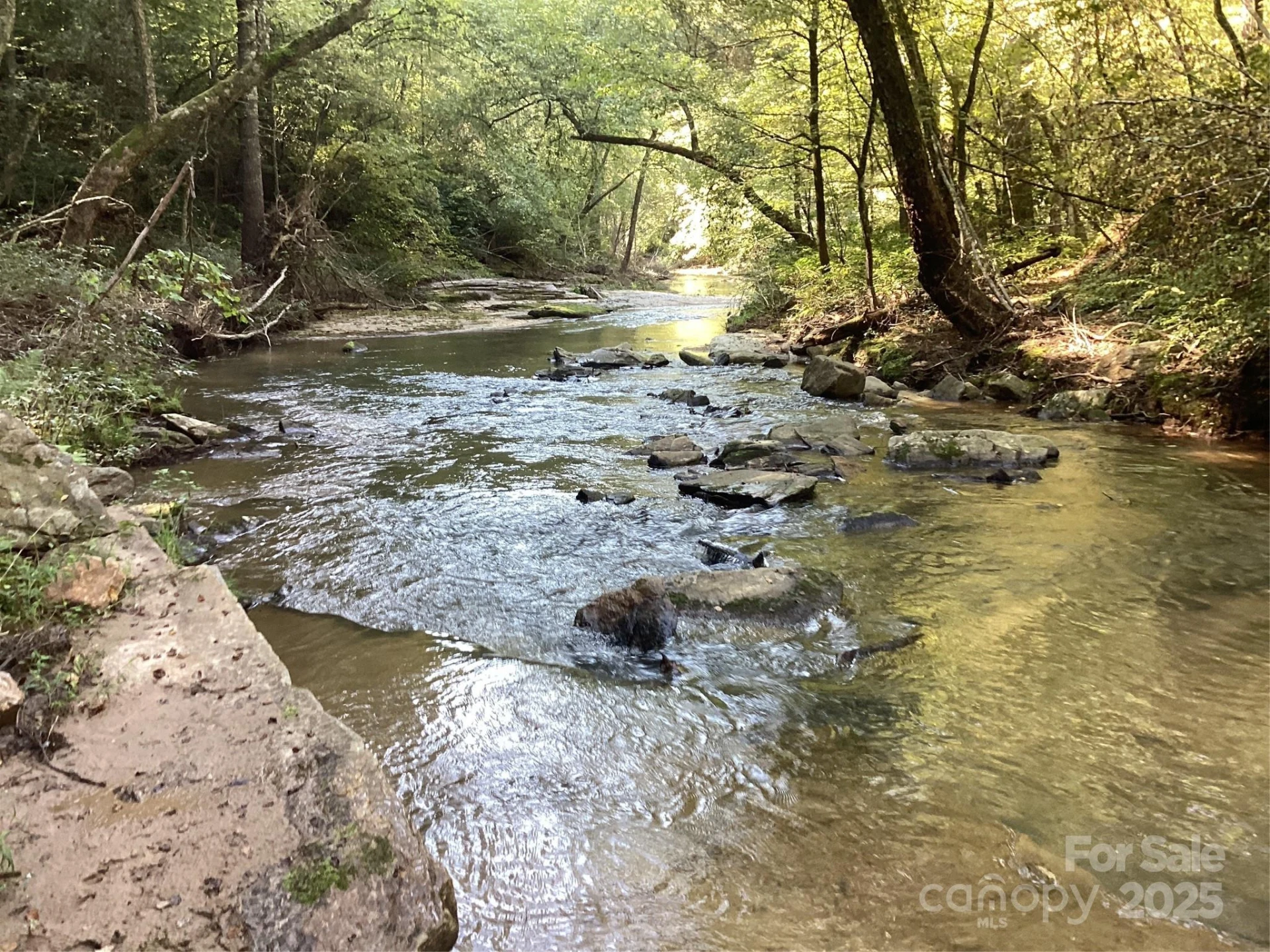 00 Chestnut Oak Trail - Photo 20