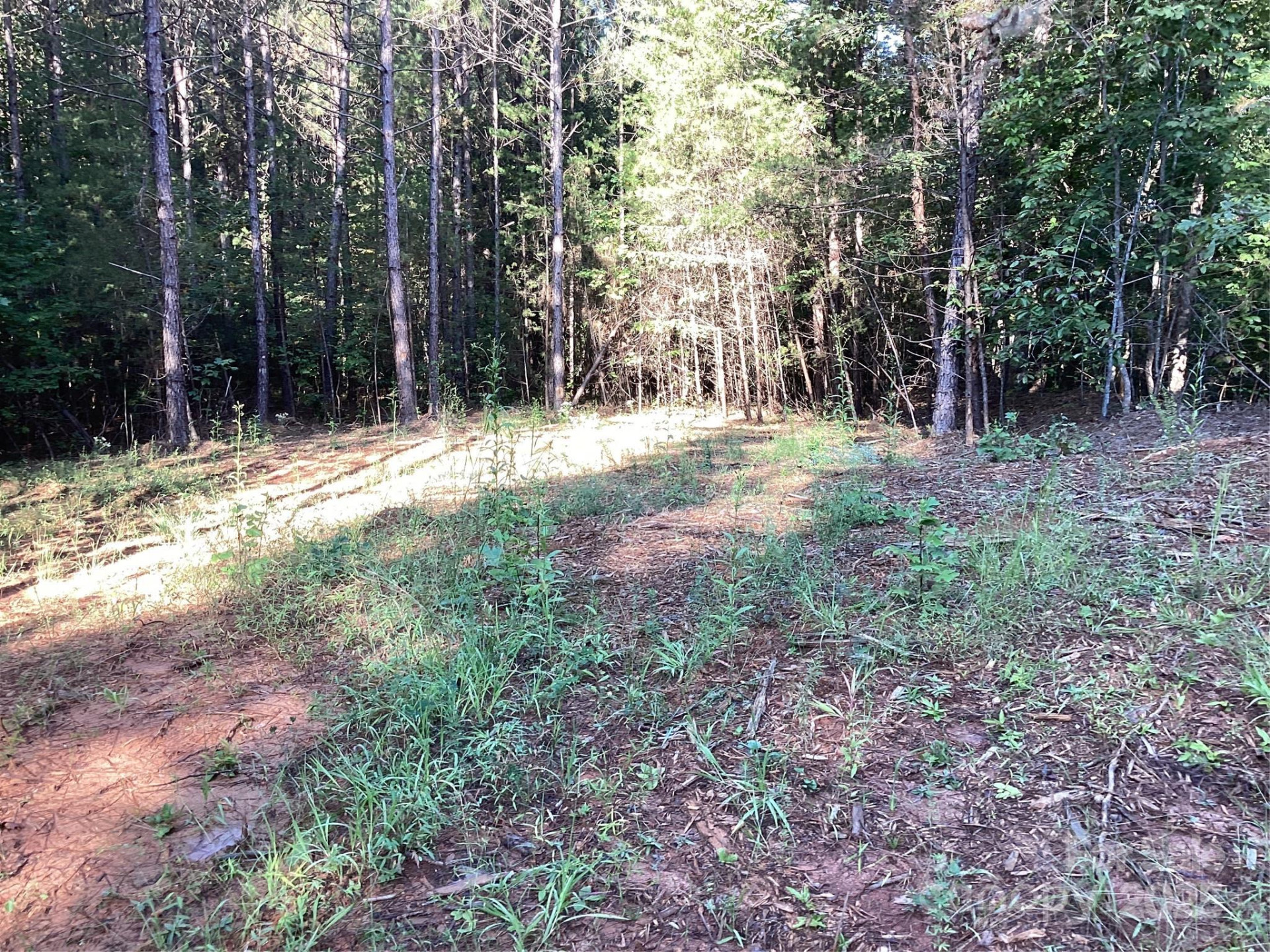 00 Chestnut Oak Trail - Photo 3