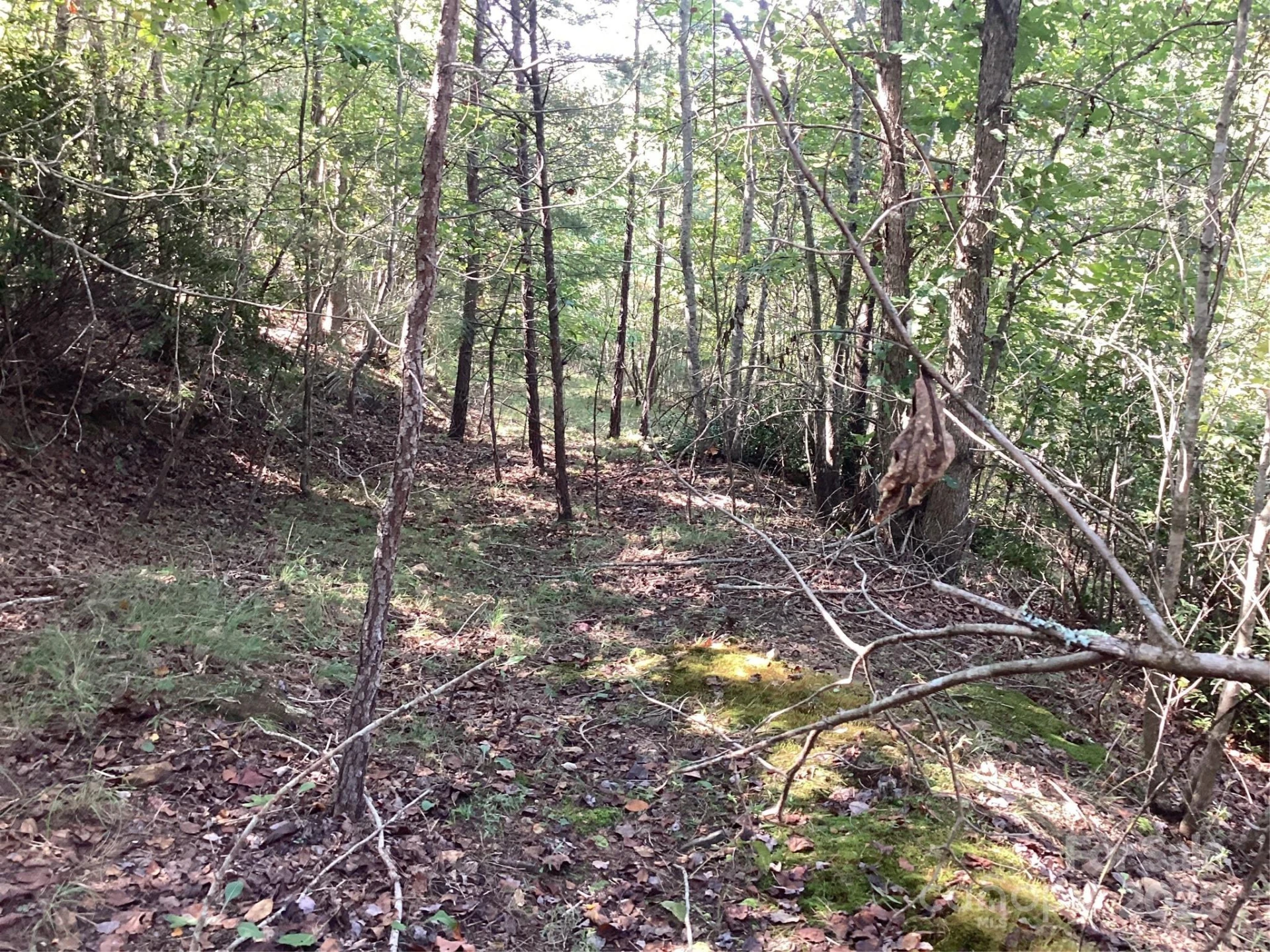 00 Chestnut Oak Trail - Photo 22