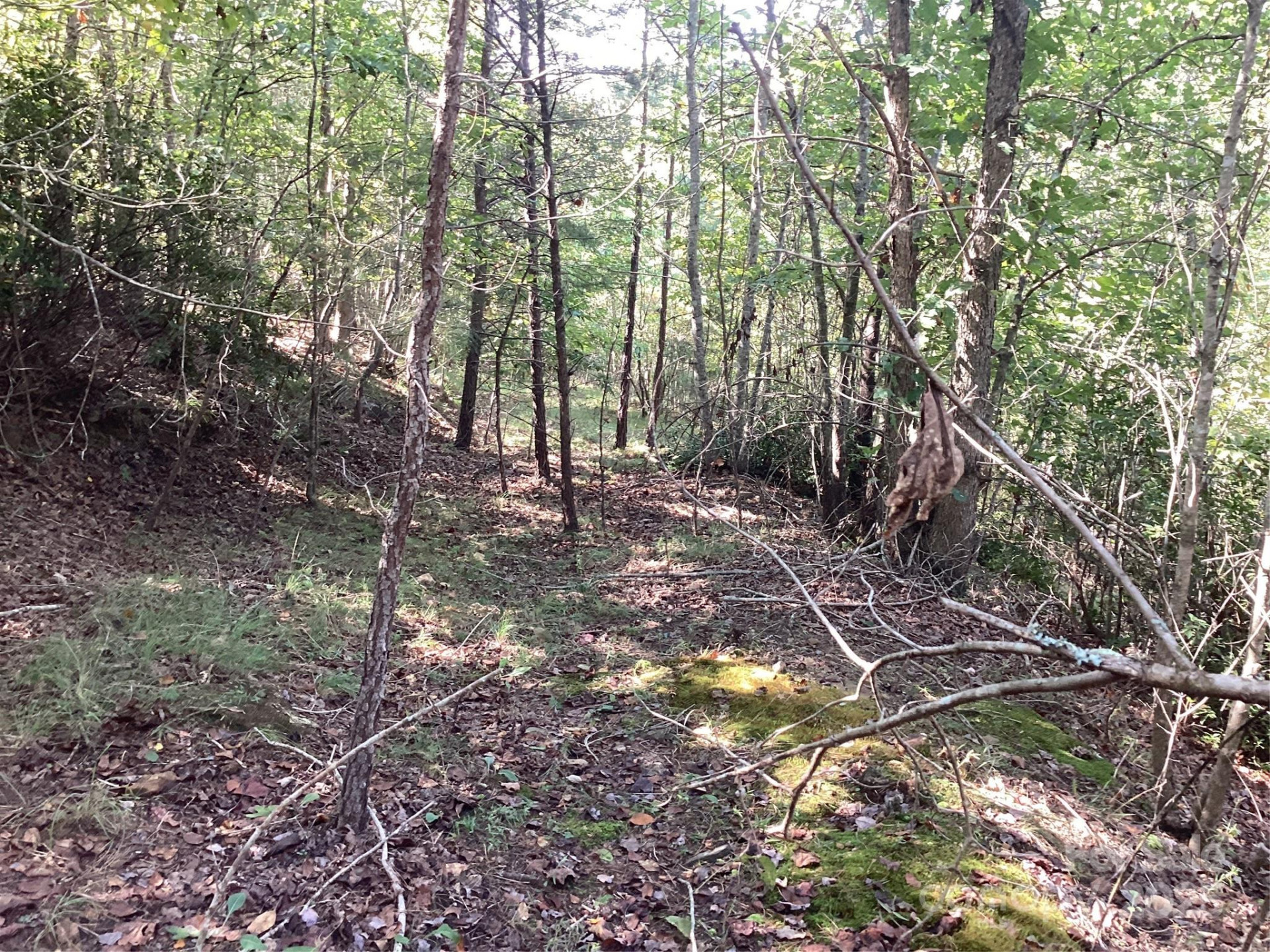00 Chestnut Oak Trail - Photo 23