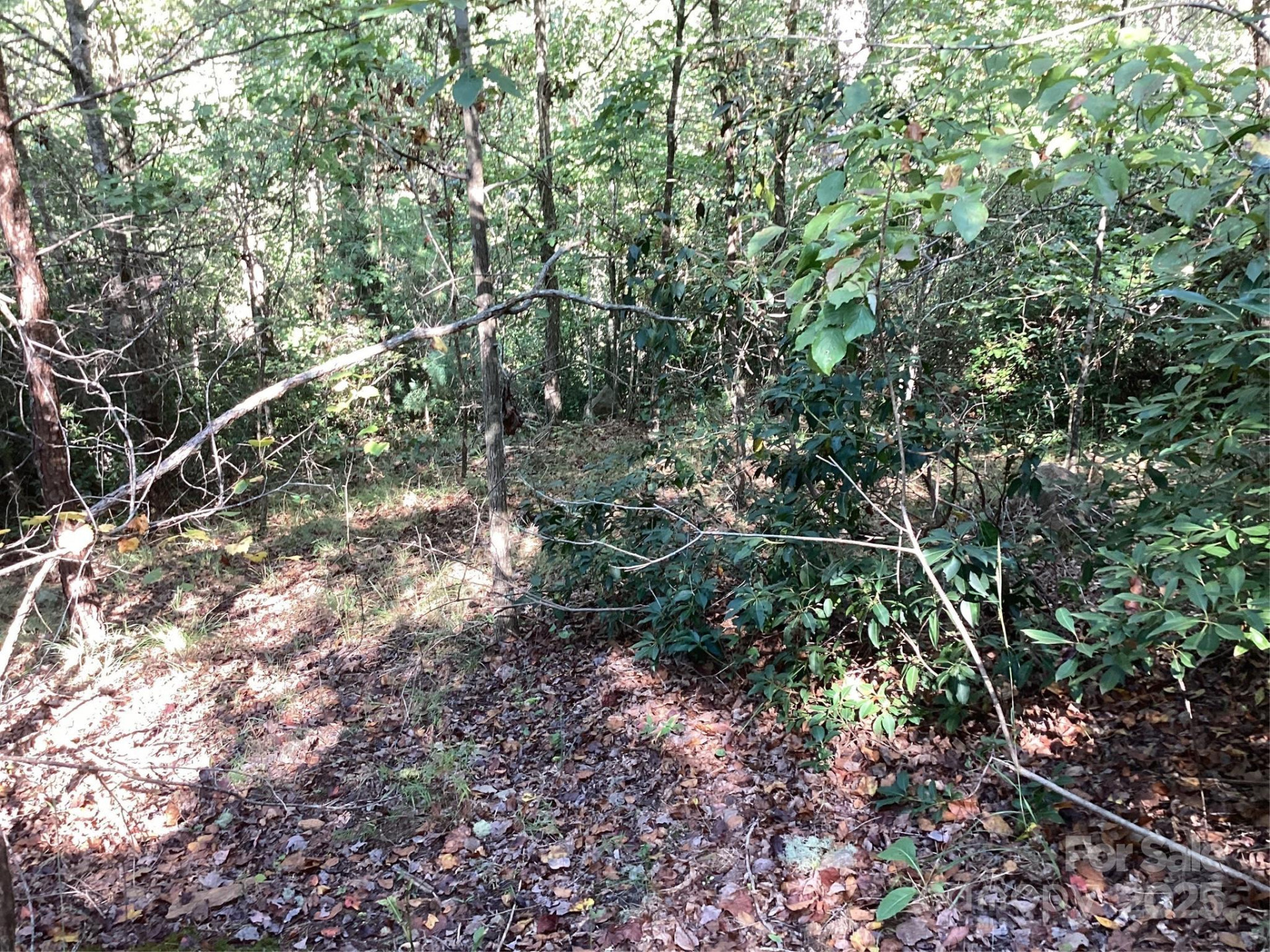 00 Chestnut Oak Trail - Photo 24