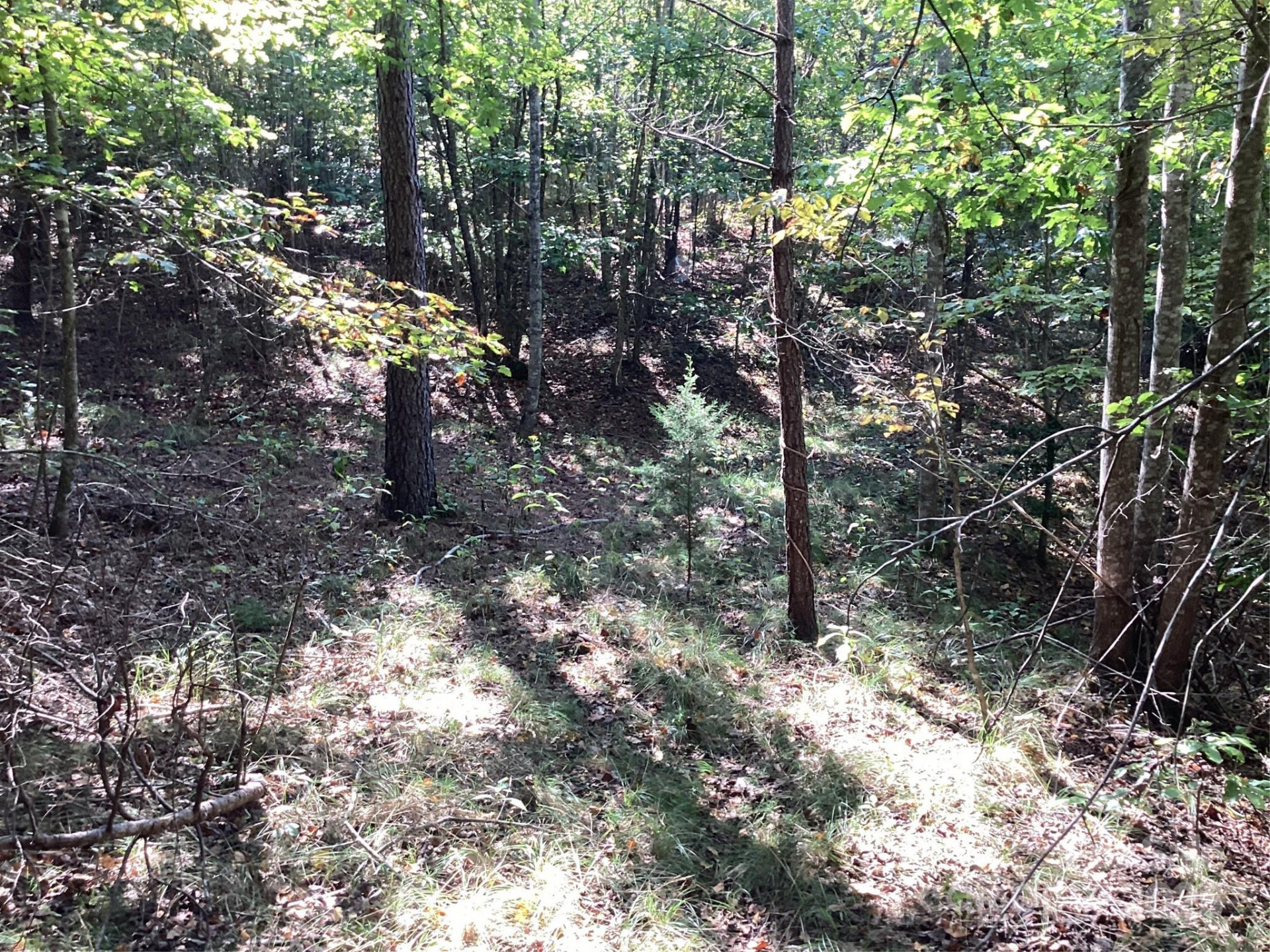 00 Chestnut Oak Trail - Photo 25