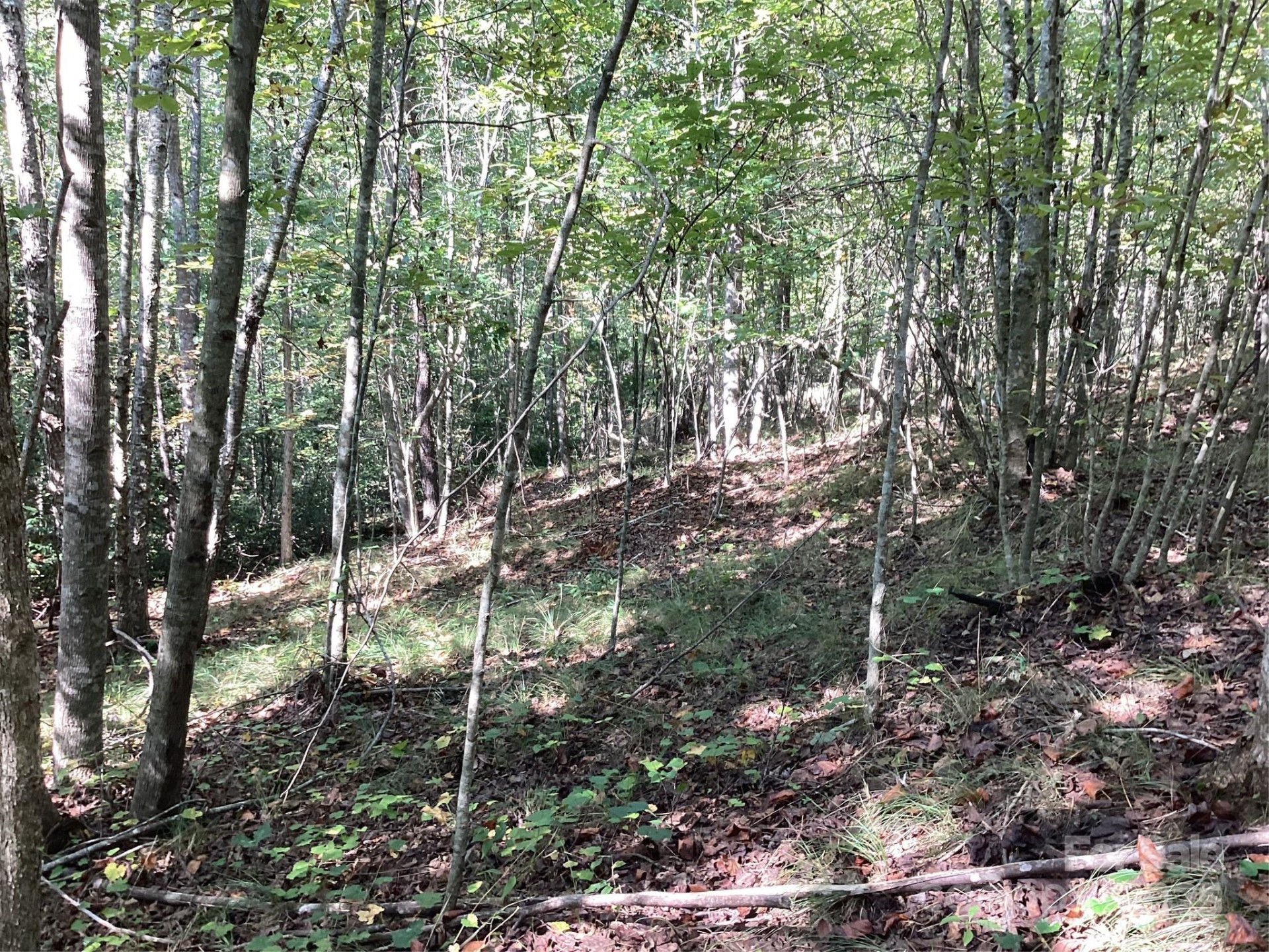 00 Chestnut Oak Trail - Photo 26