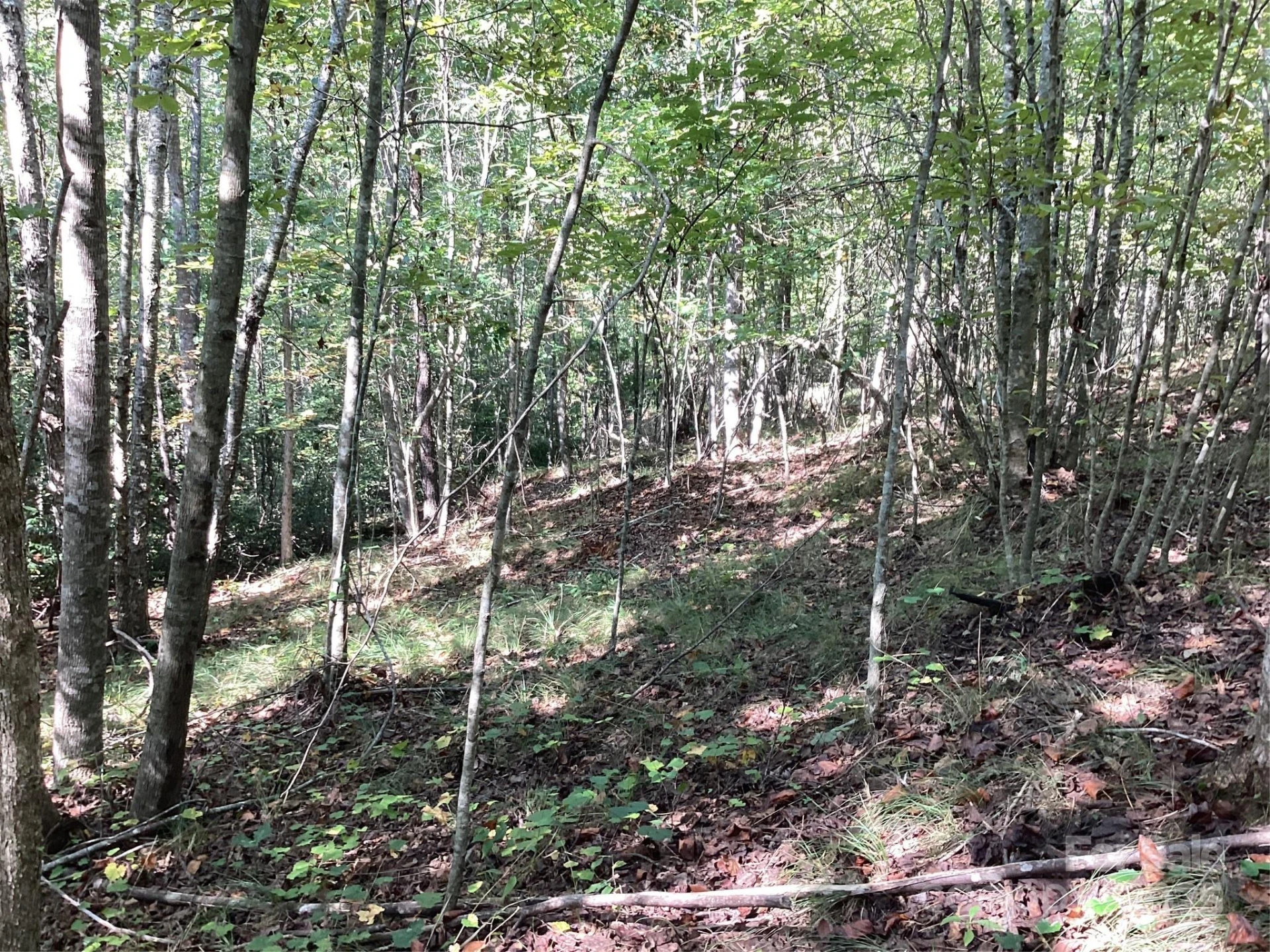 00 Chestnut Oak Trail - Photo 26