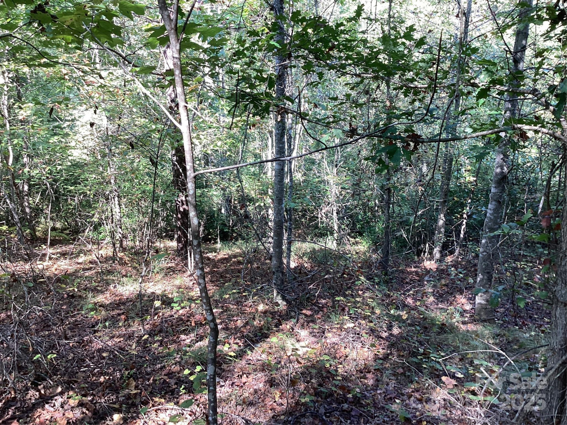 00 Chestnut Oak Trail - Photo 27