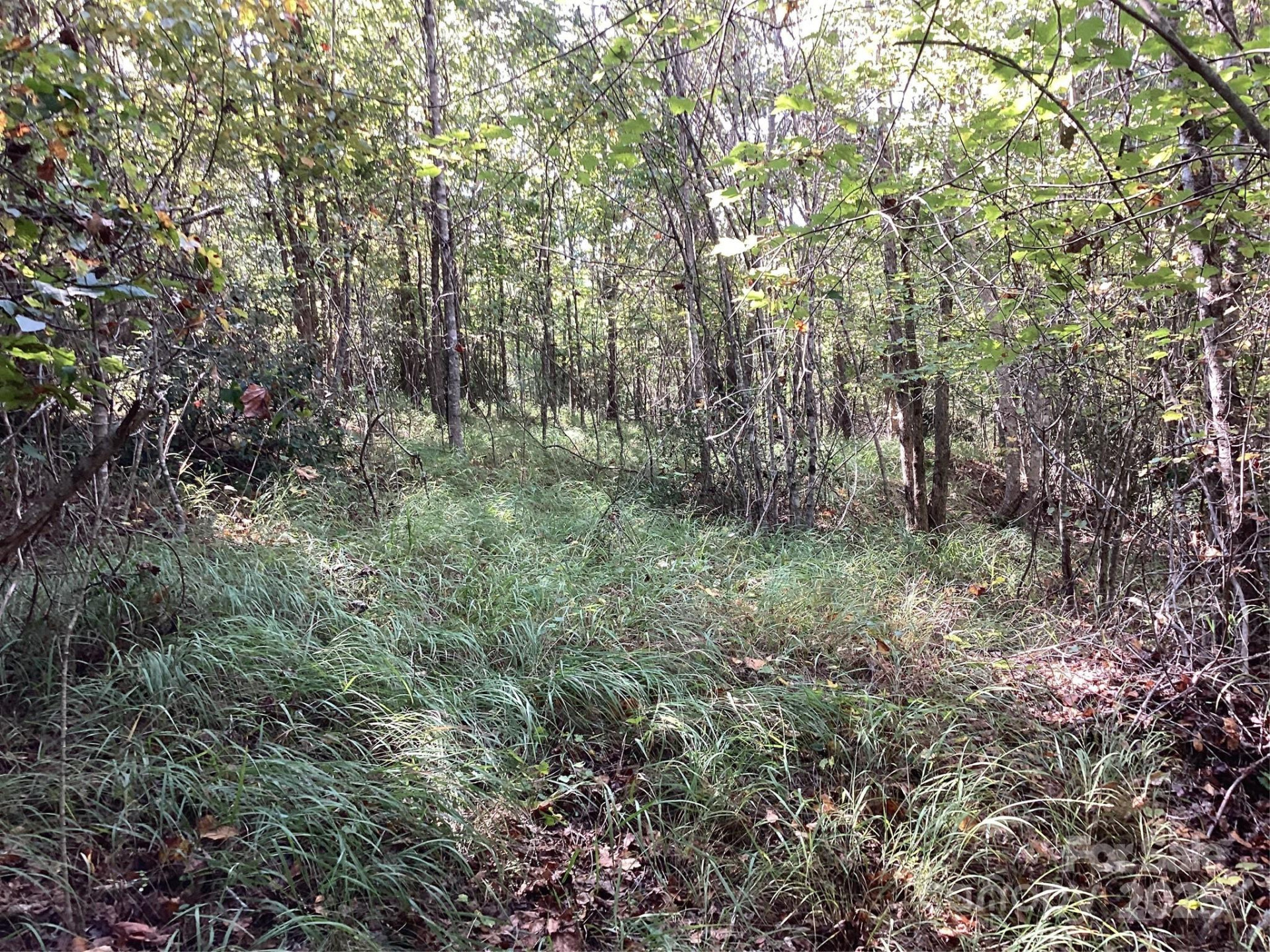 00 Chestnut Oak Trail - Photo 28