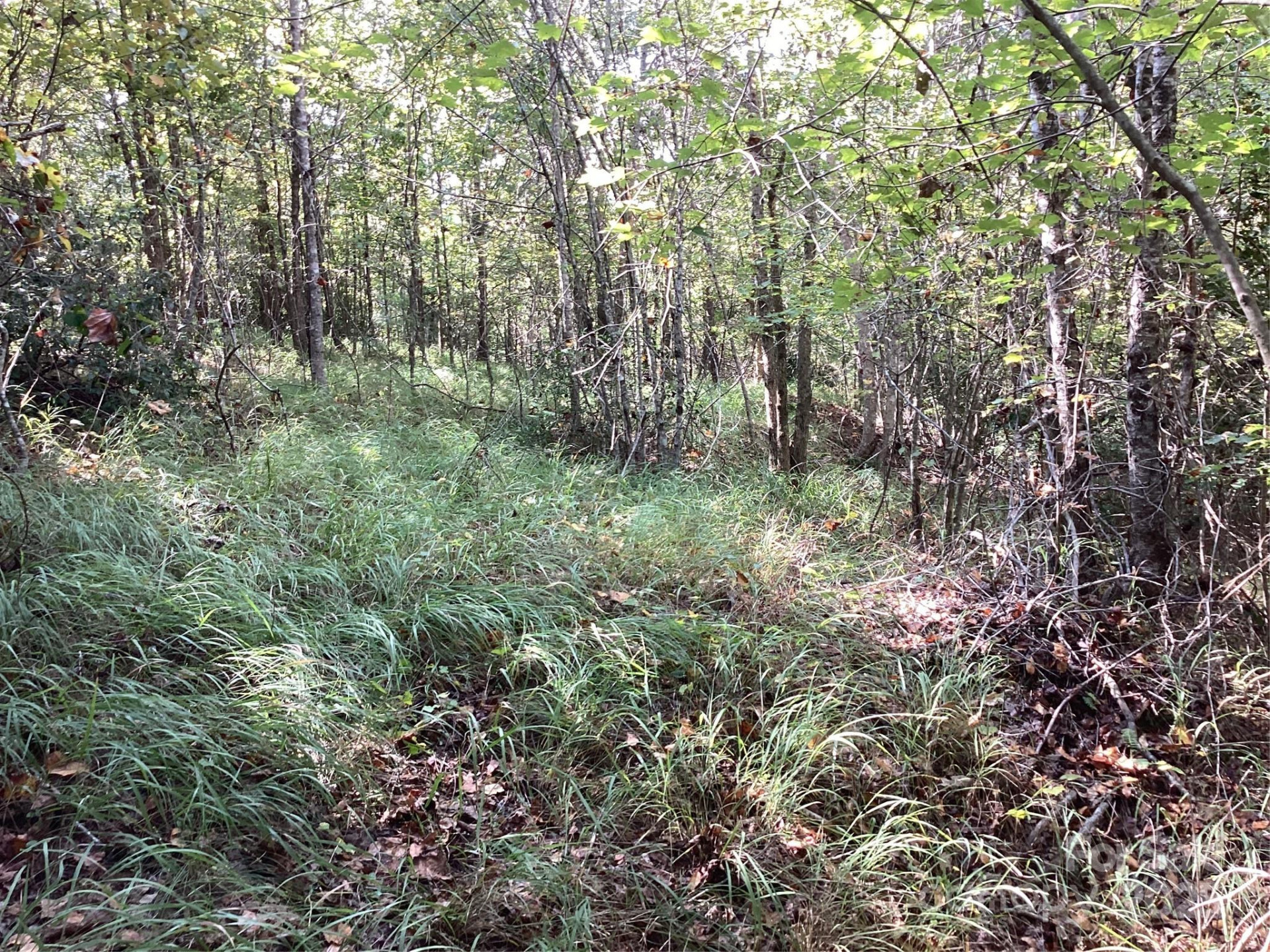 00 Chestnut Oak Trail - Photo 29