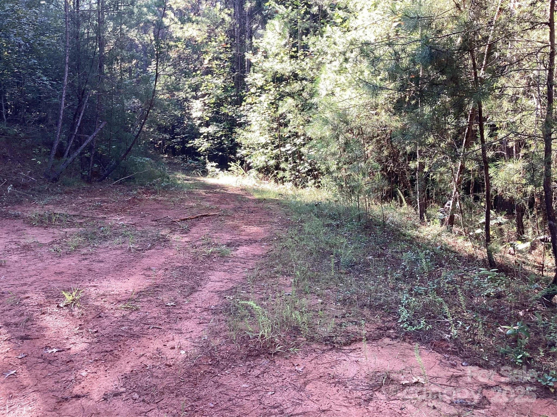 00 Chestnut Oak Trail - Photo 4