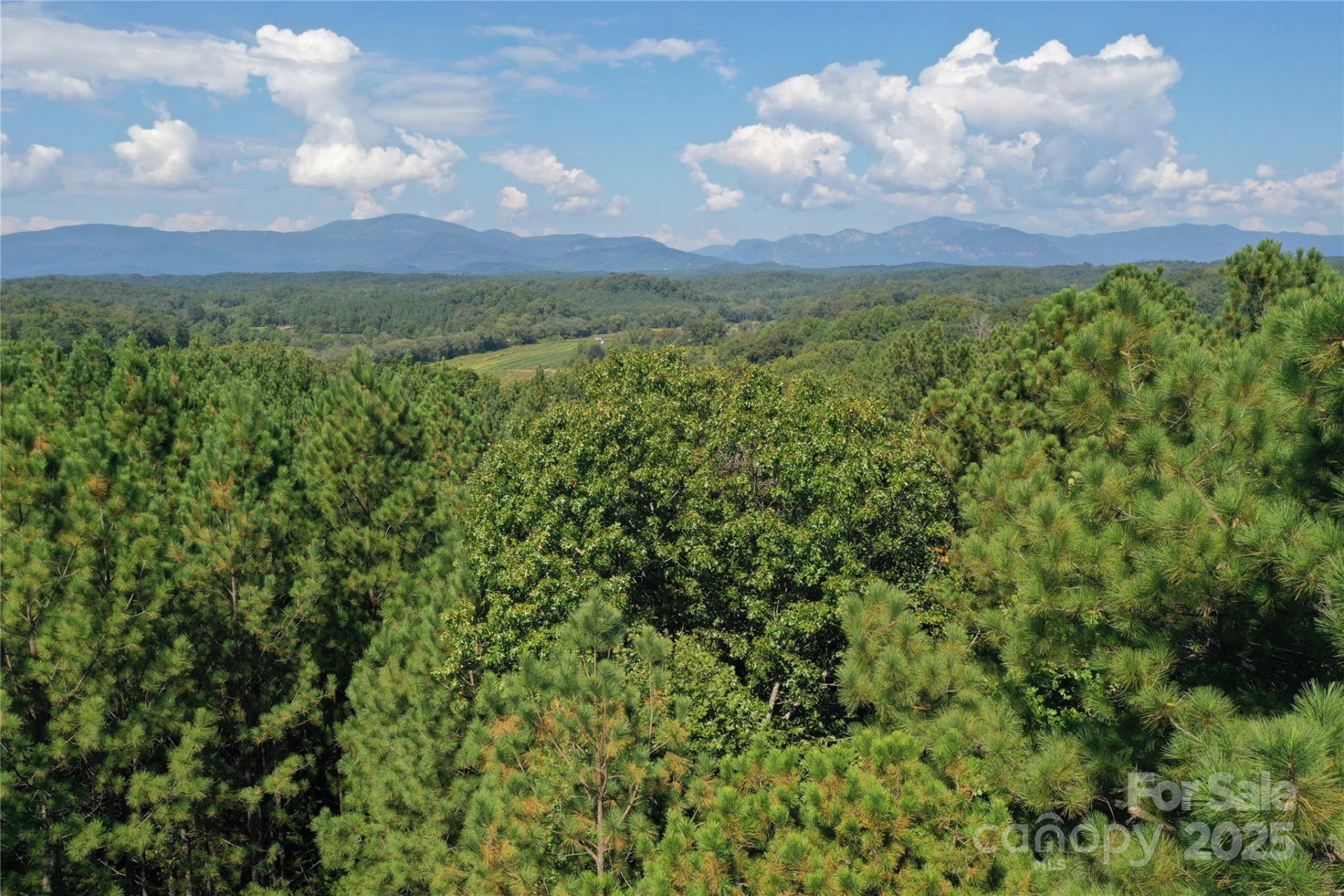 00 Chestnut Oak Trail - Photo 32