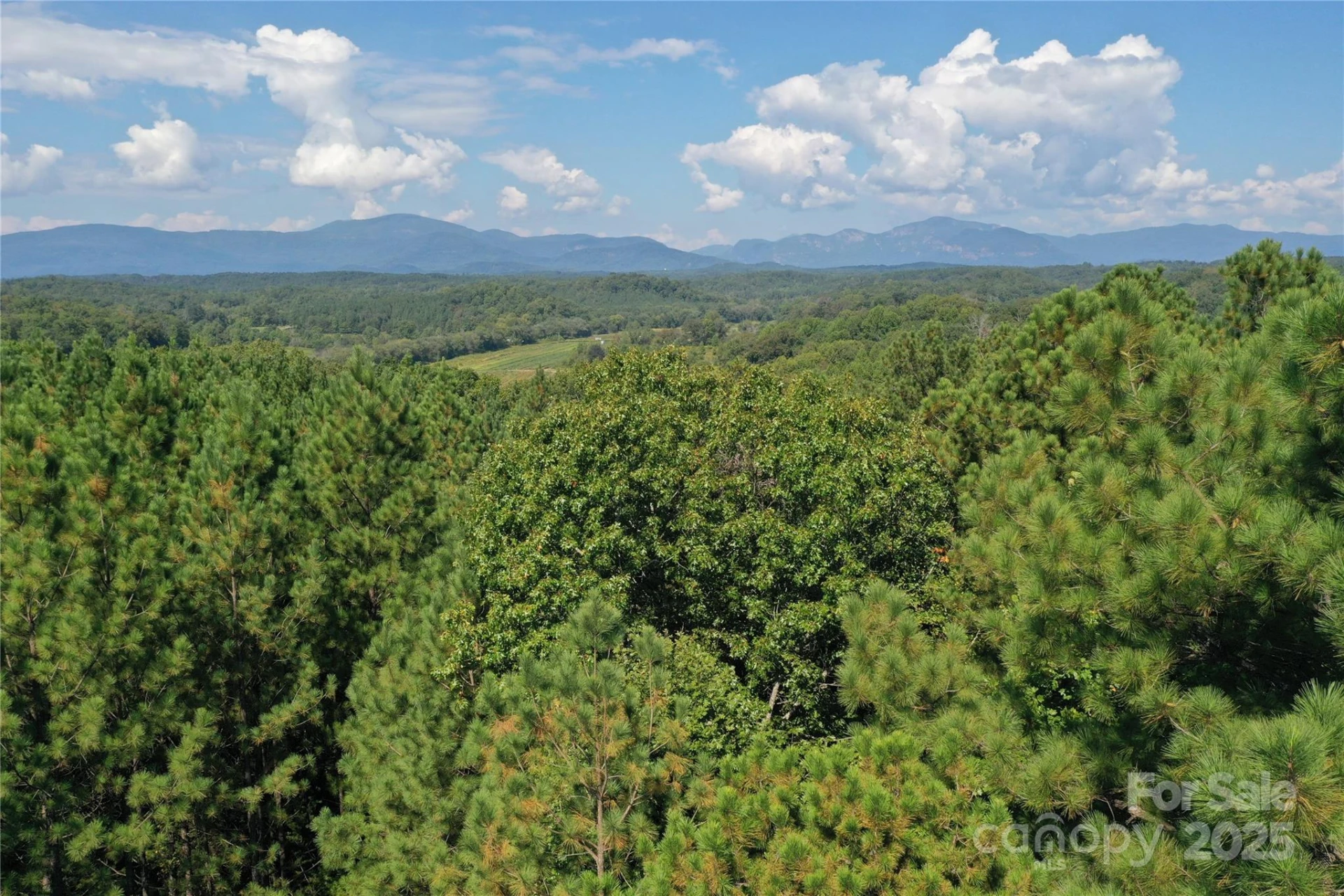 00 Chestnut Oak Trail - Photo 32