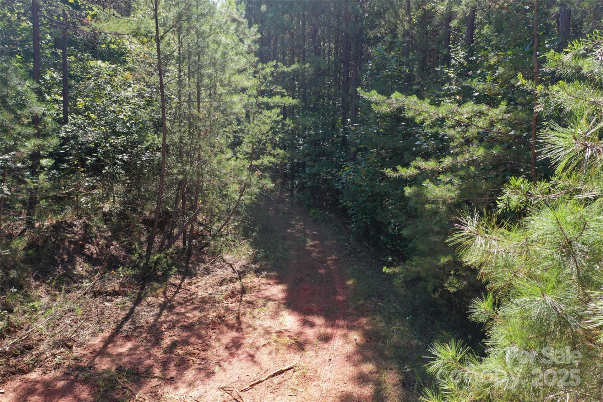 00 Chestnut Oak Trail - Photo 33