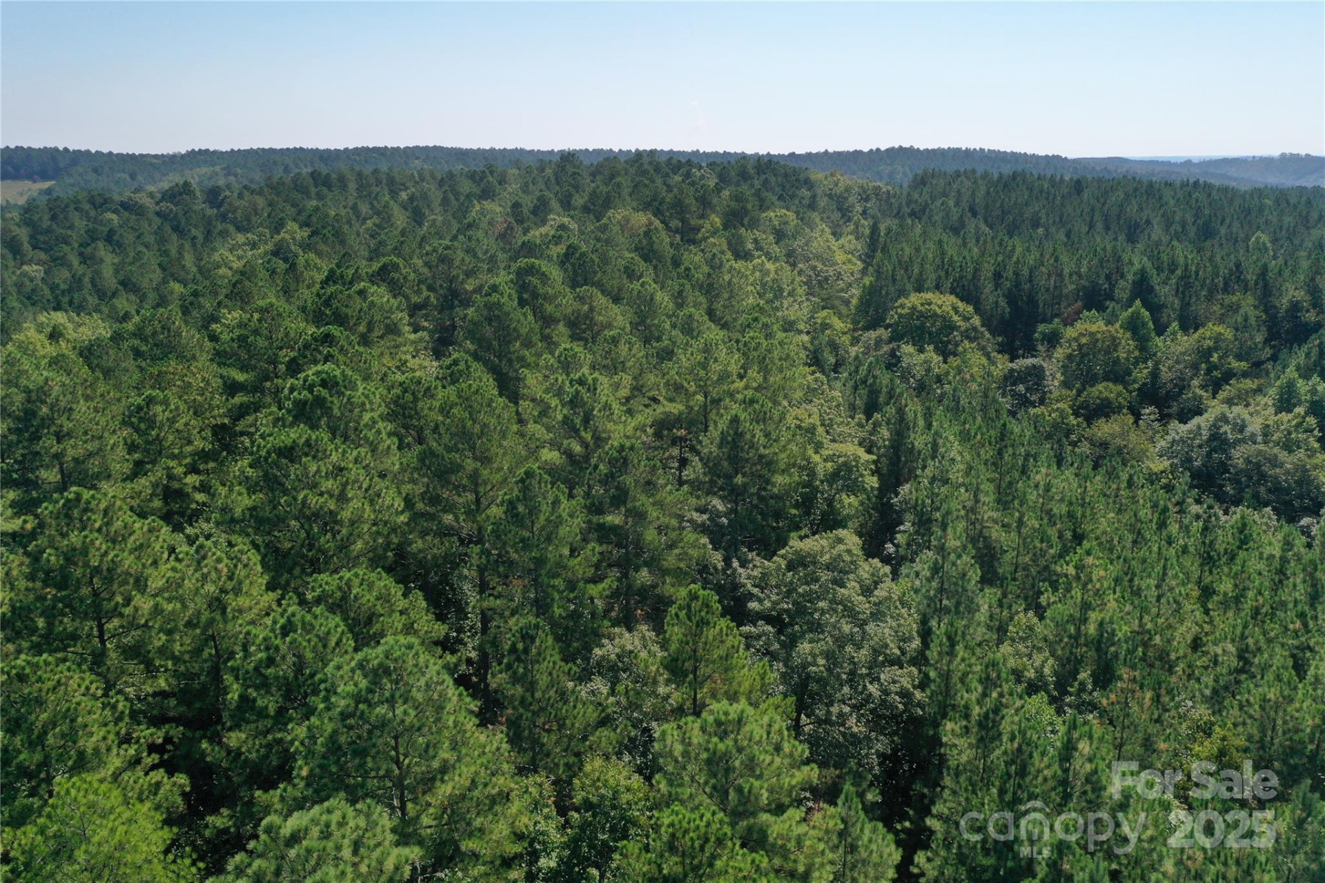 00 Chestnut Oak Trail - Photo 34