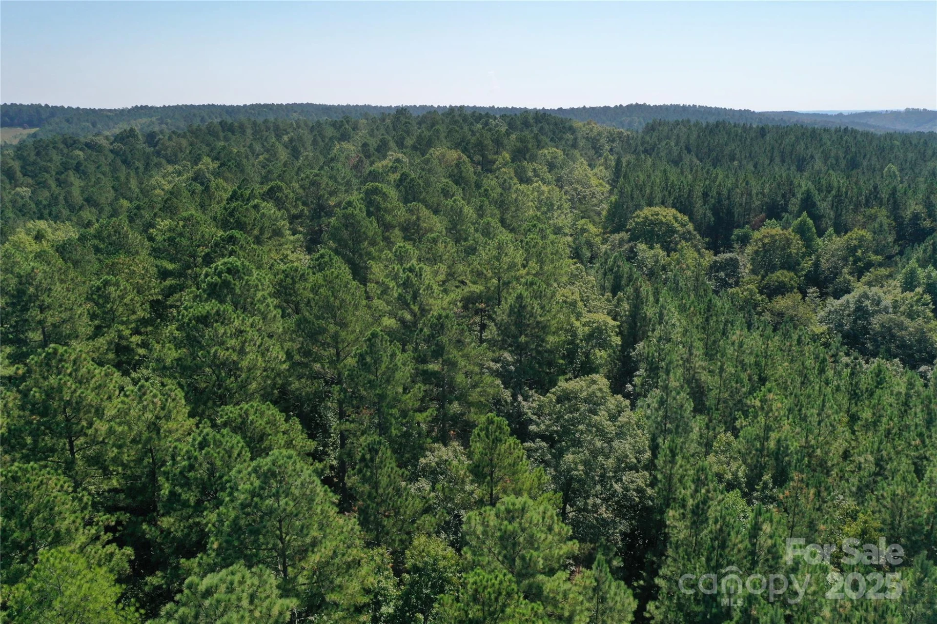 00 Chestnut Oak Trail - Photo 34