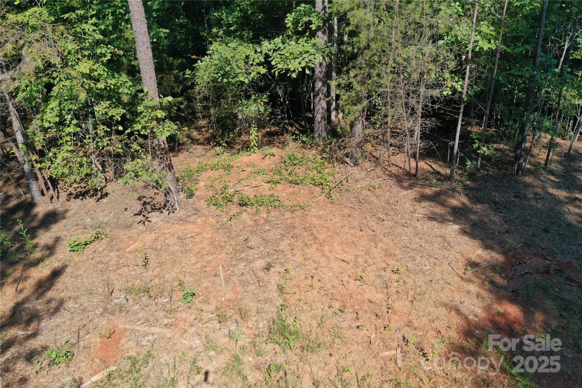 00 Chestnut Oak Trail - Photo 35
