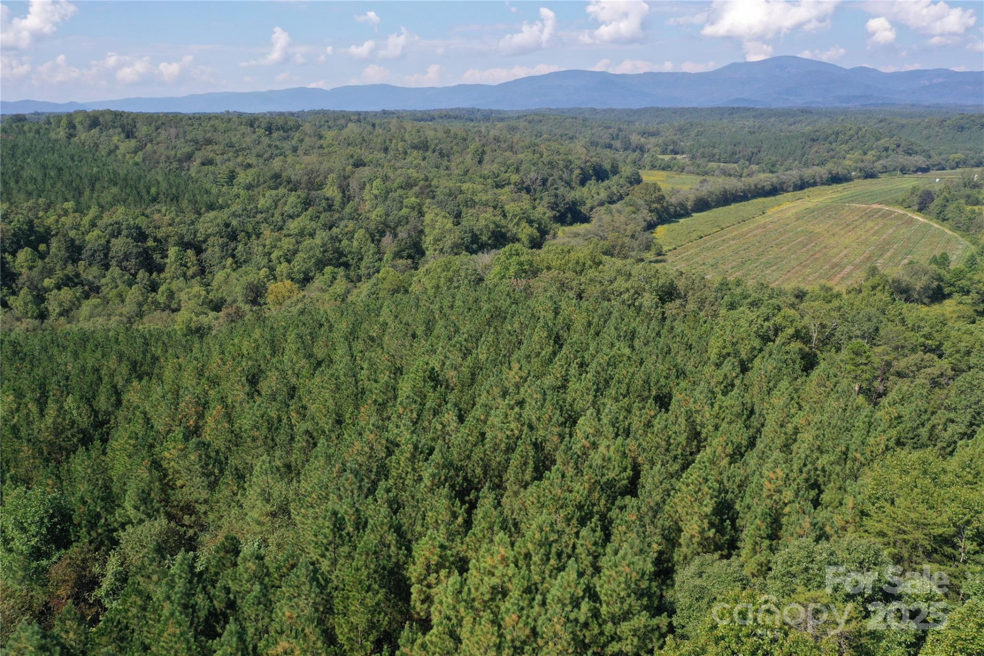 00 Chestnut Oak Trail - Photo 37