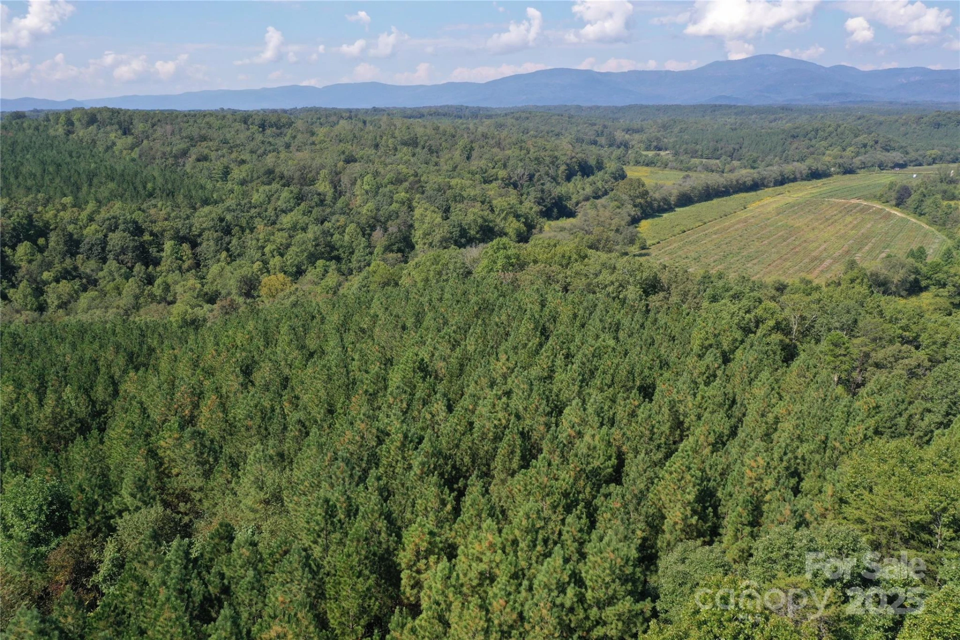 00 Chestnut Oak Trail - Photo 37