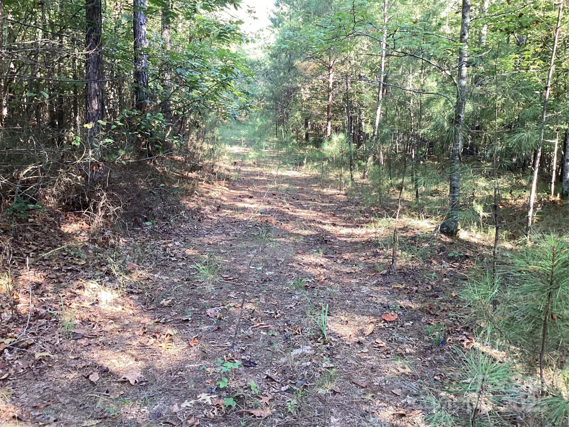 00 Chestnut Oak Trail - Photo 9