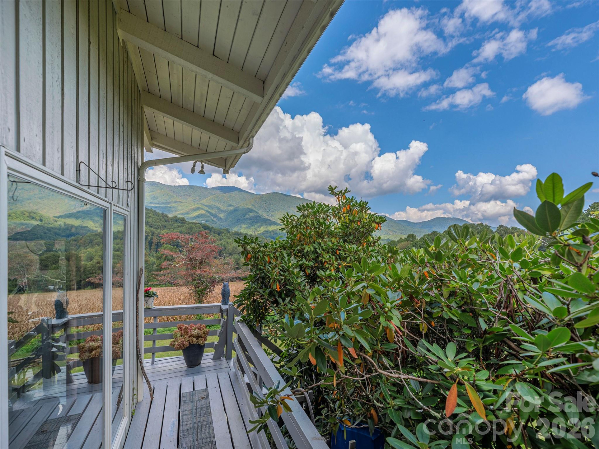 234 Sams Trail - Photo 19