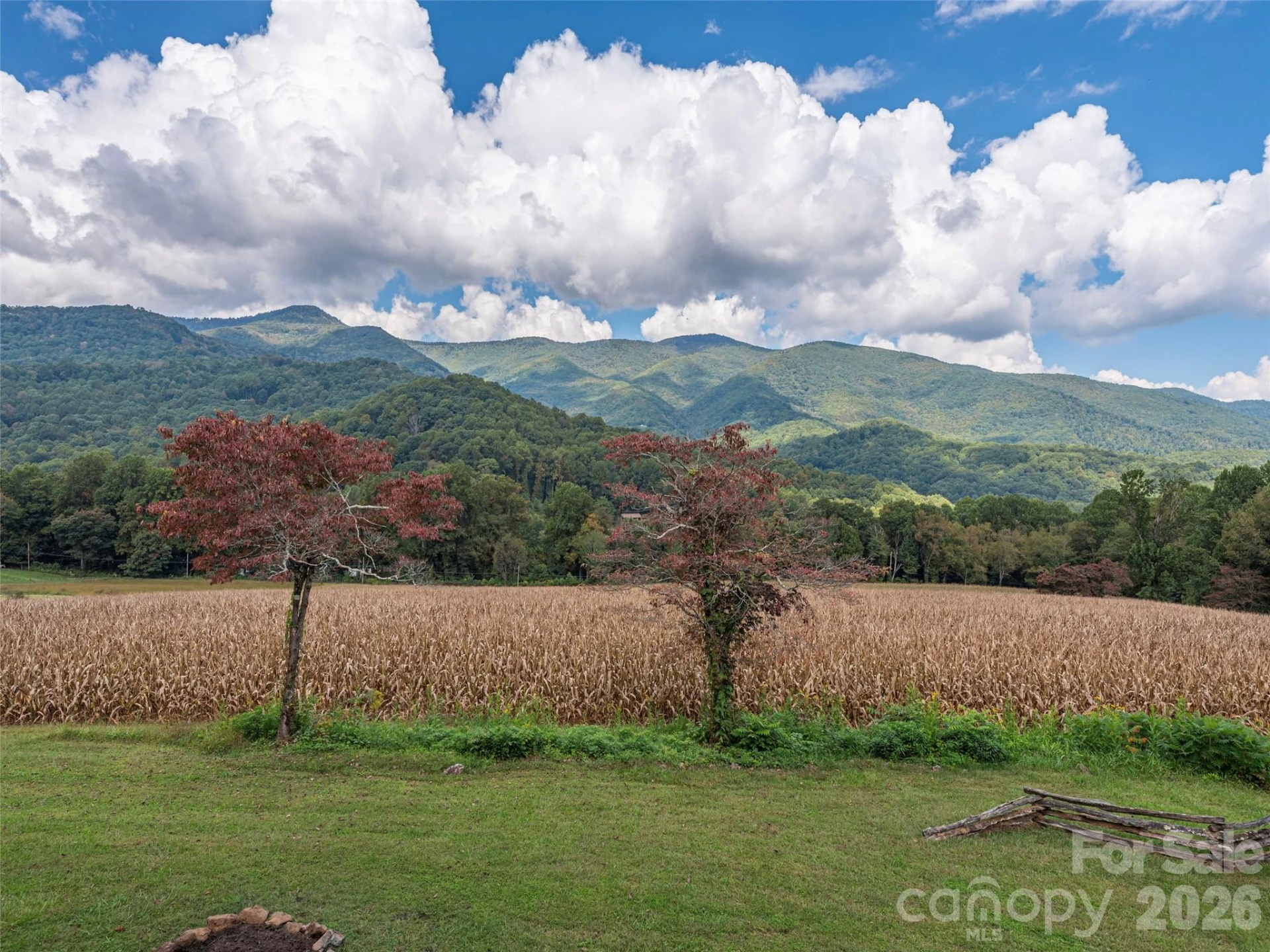 234 Sams Trail - Photo 21