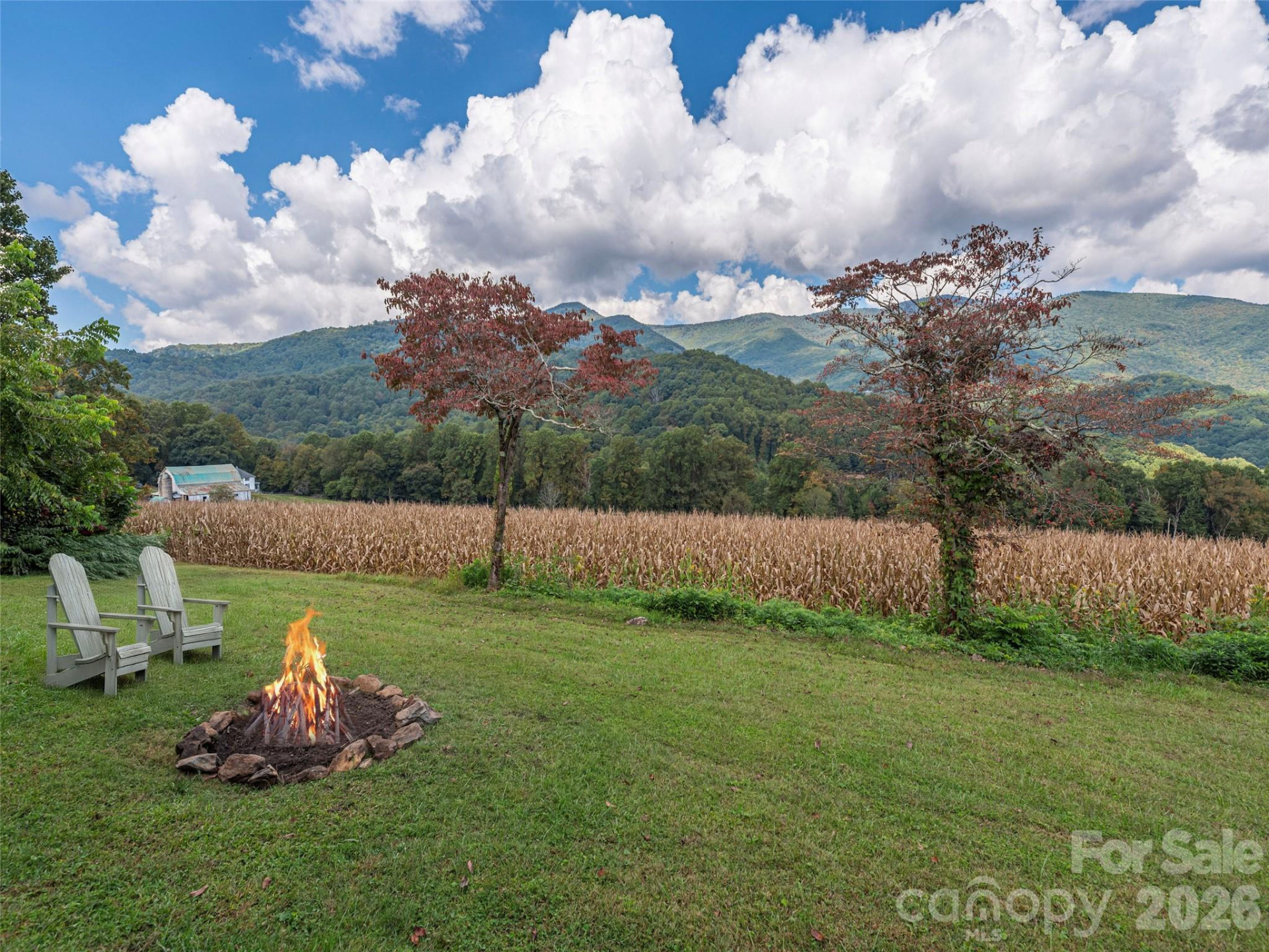 234 Sams Trail - Photo 24