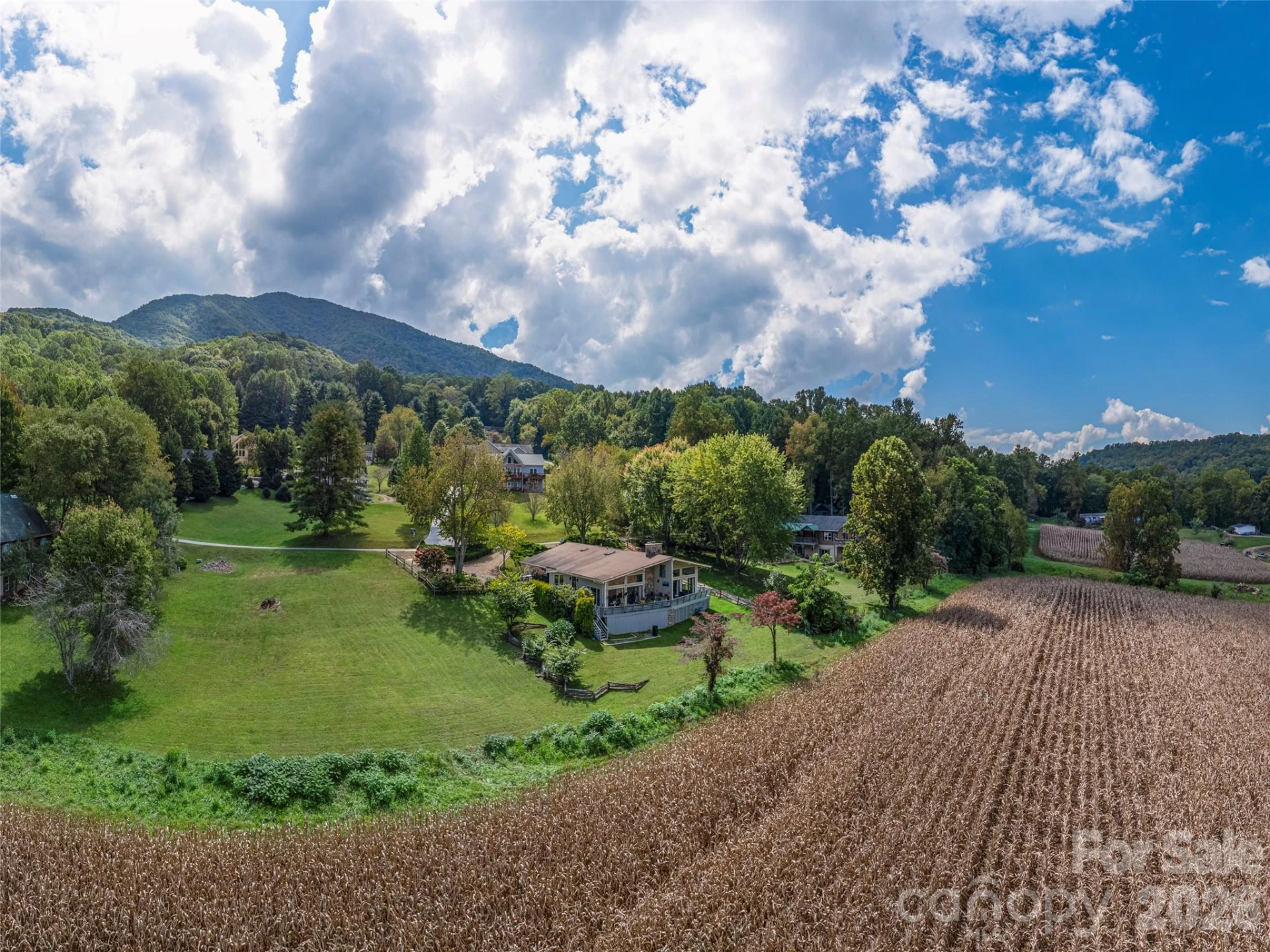 234 Sams Trail - Photo 27