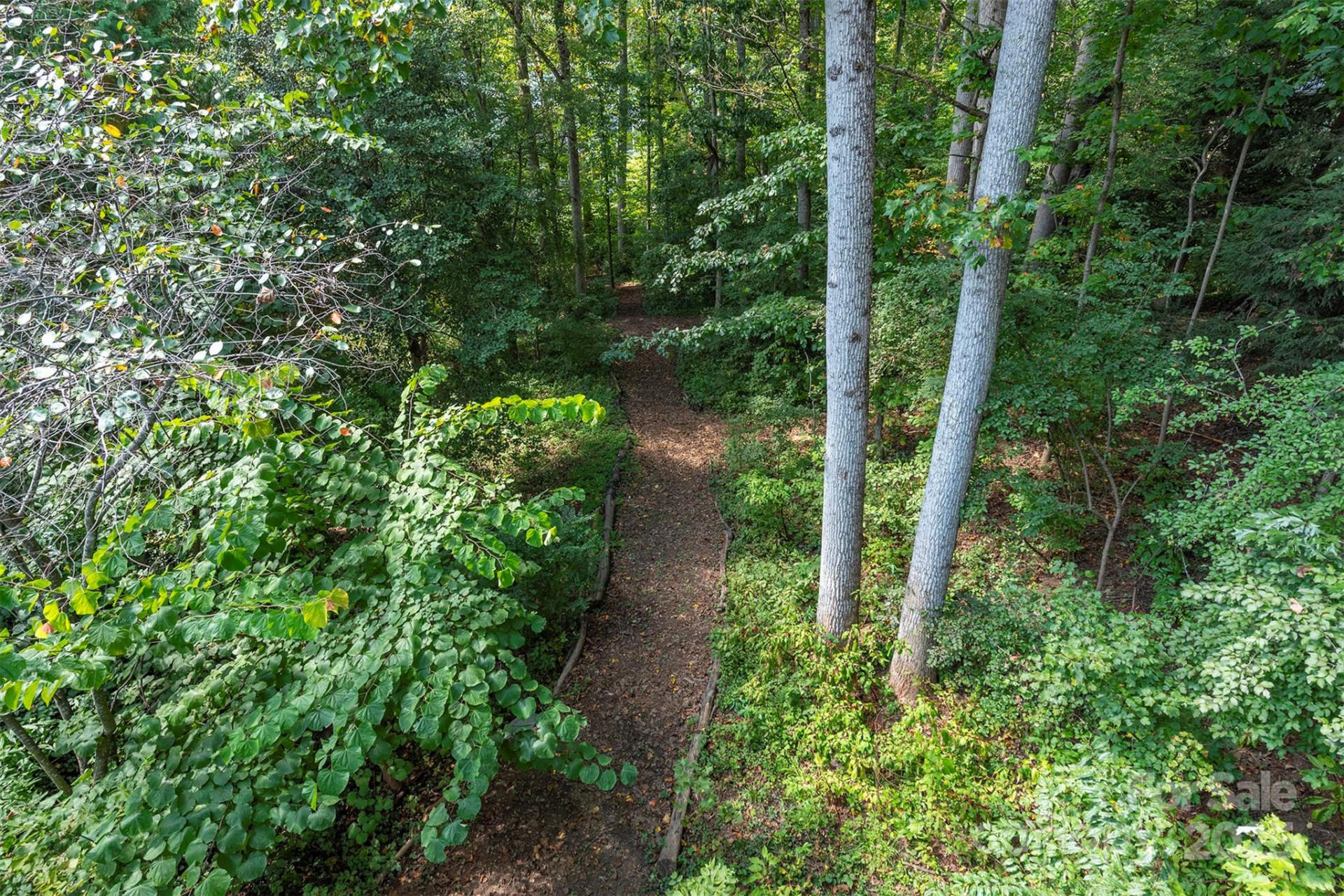 43 Vermont Court #D14 - Photo 48