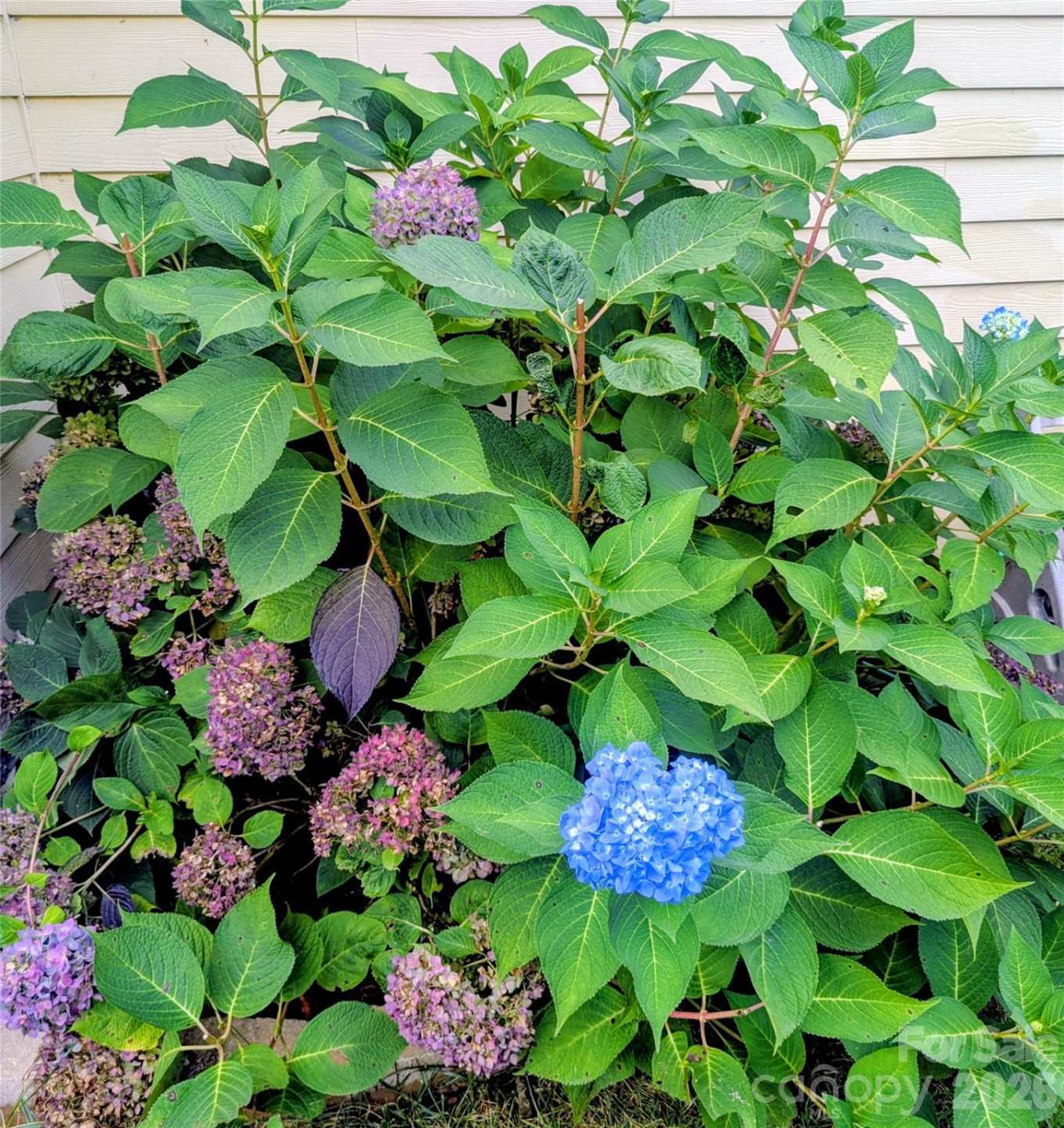 10 Cotton Creek Circle - Photo 45