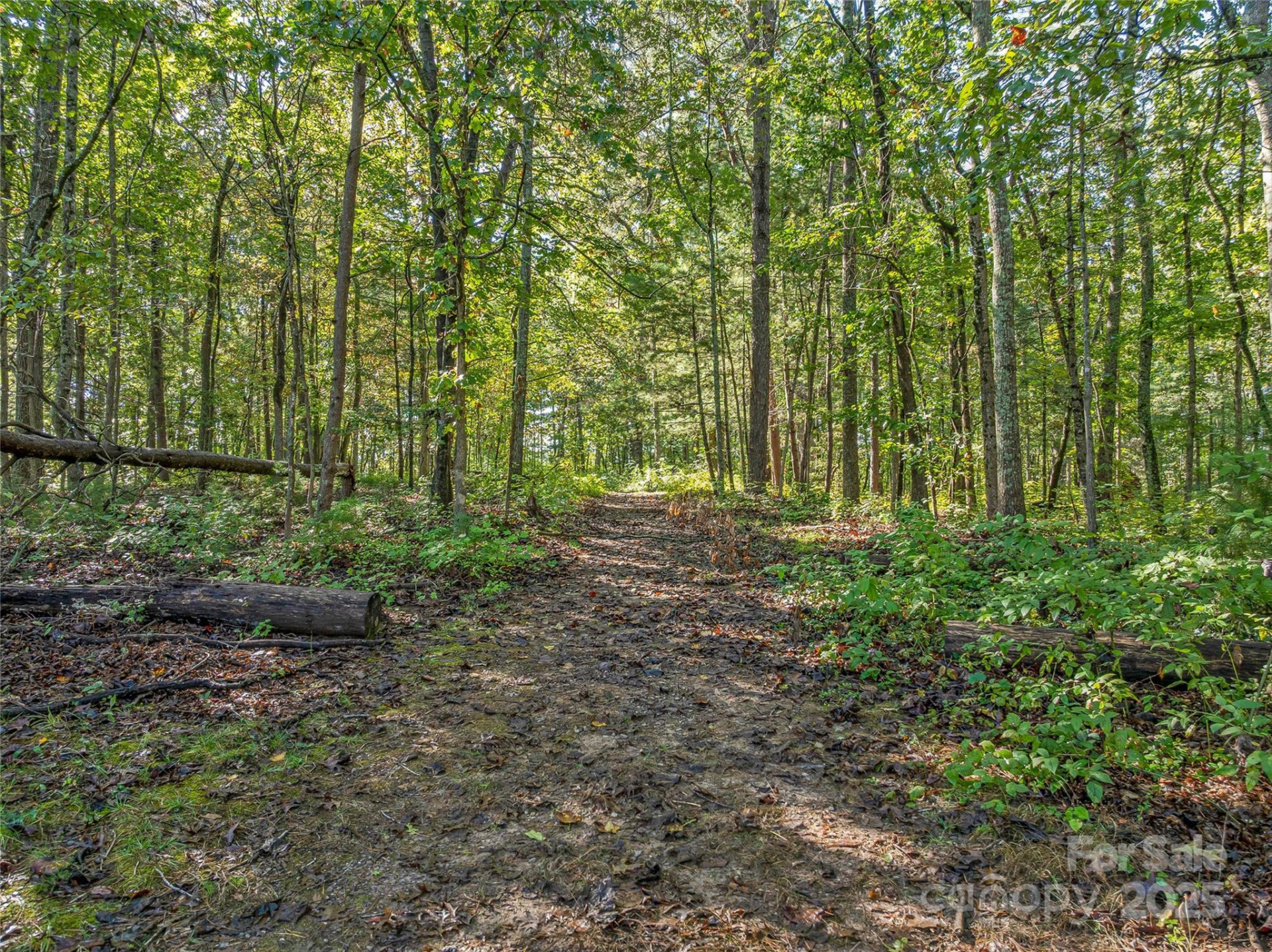 99999 Hi Alta Avenue - Photo 14