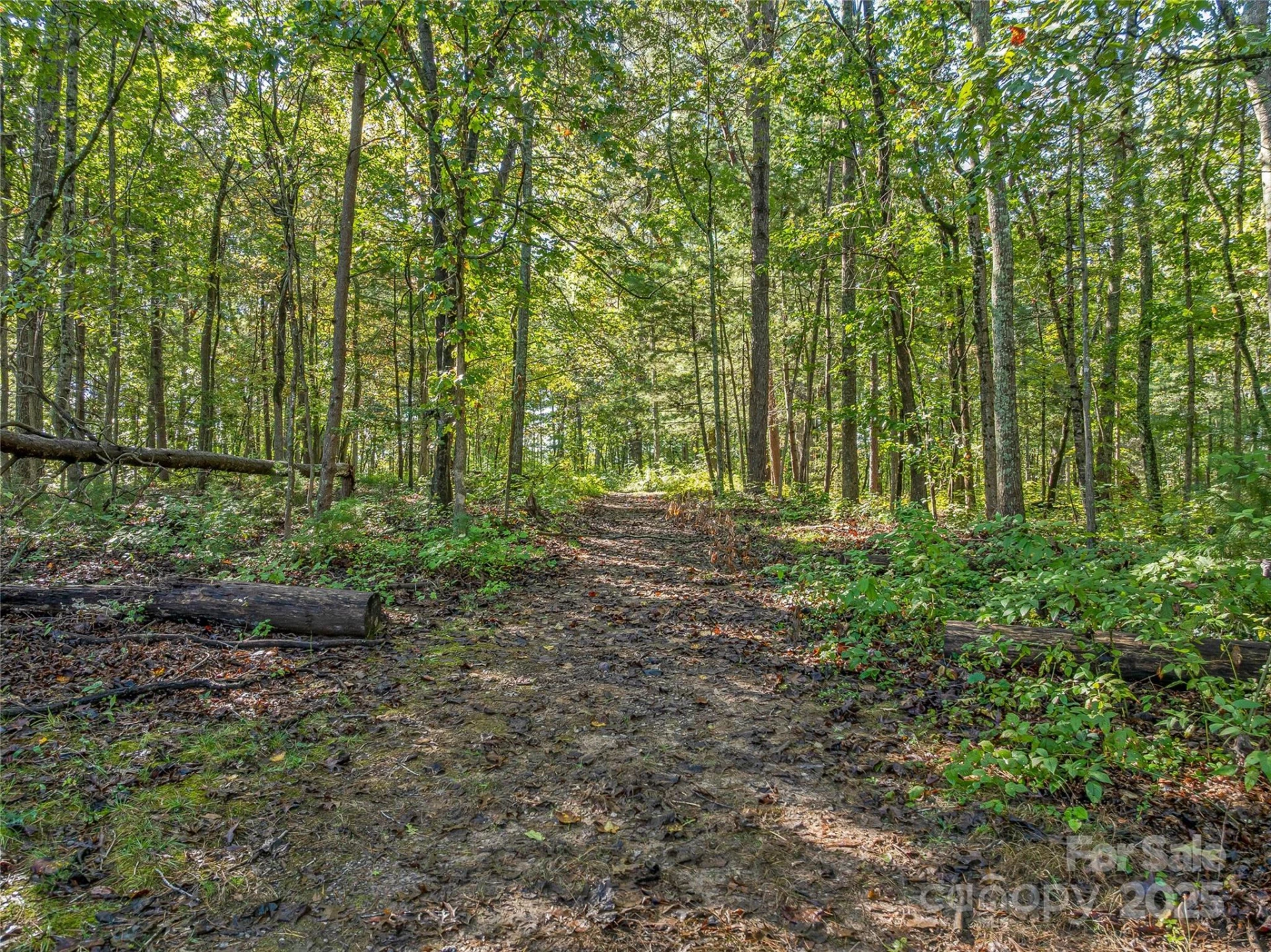 99999 Hi Alta Avenue - Photo 14