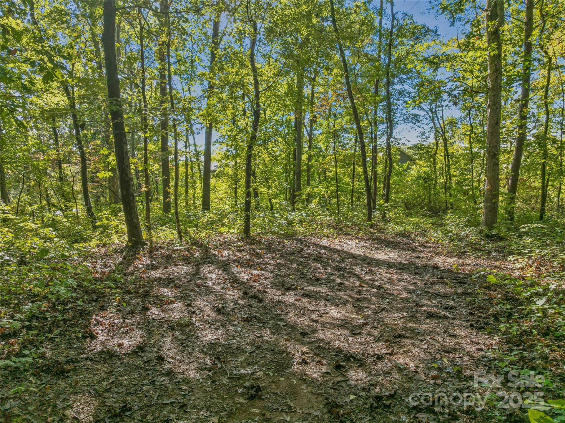 99999 Hi Alta Avenue - Photo 17