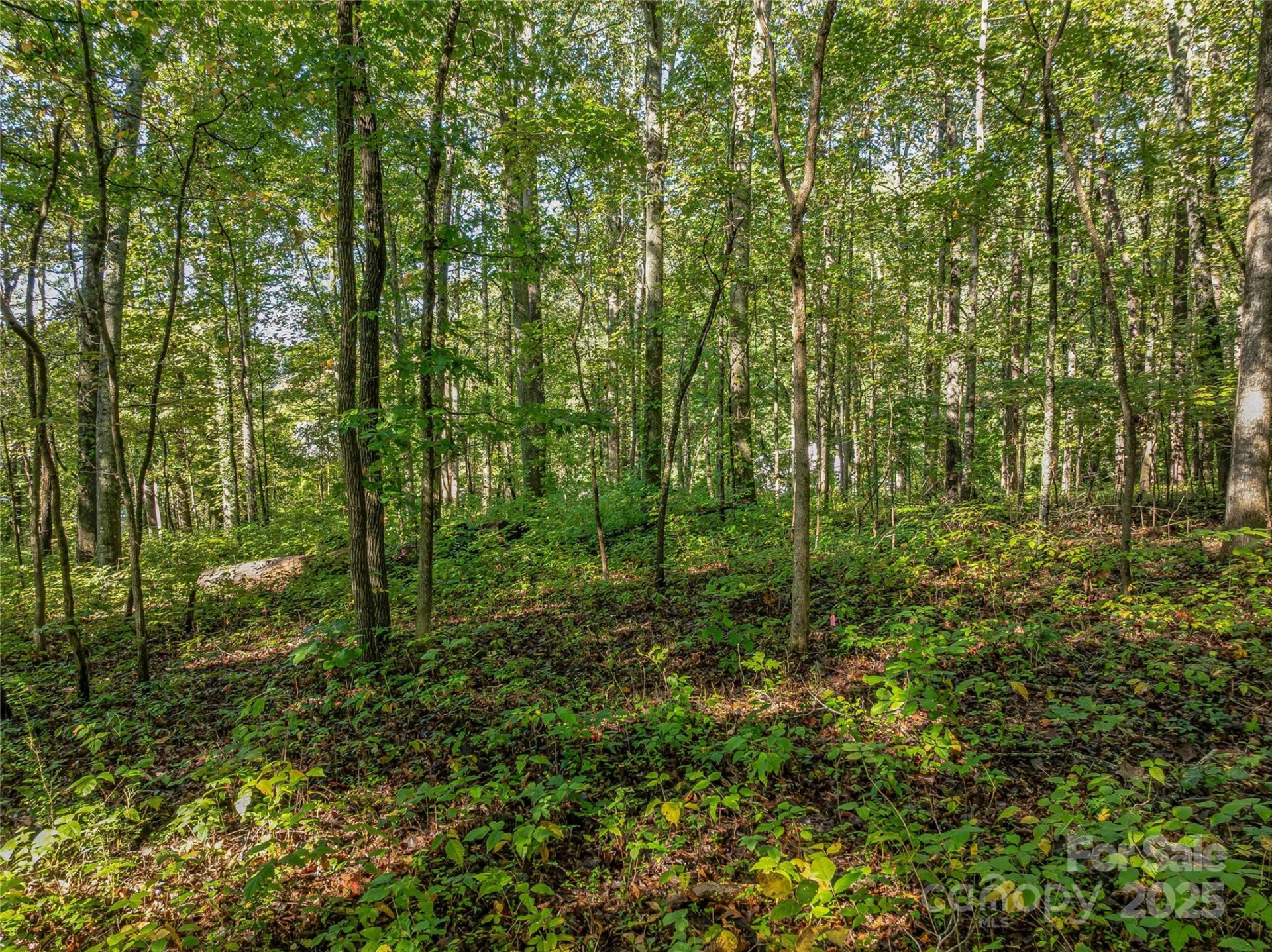 99999 Hi Alta Avenue - Photo 18