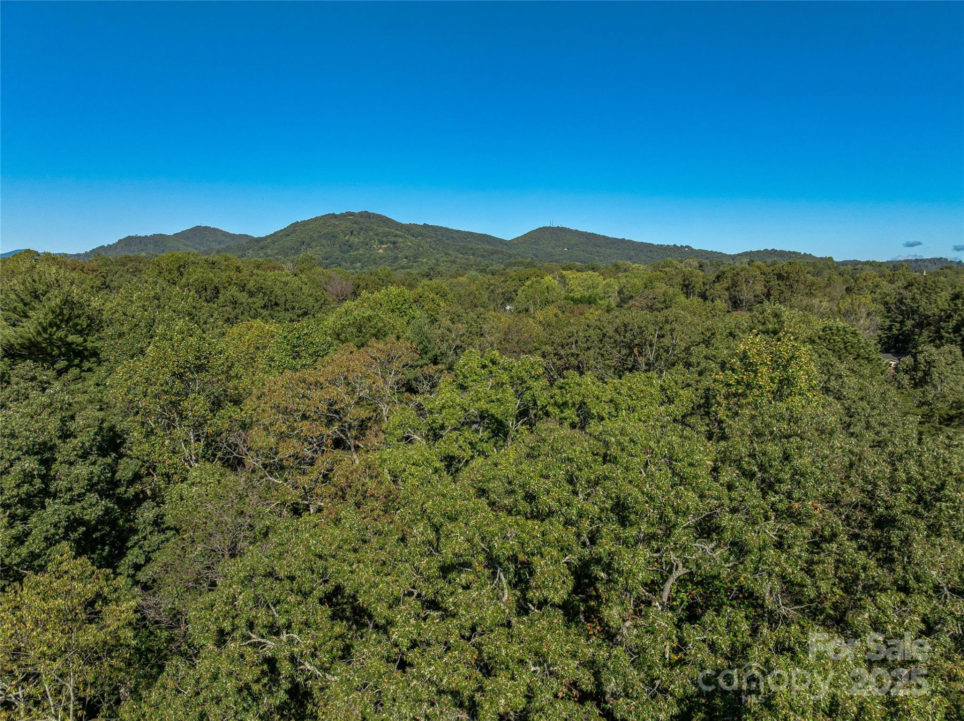 99999 Hi Alta Avenue - Photo 19