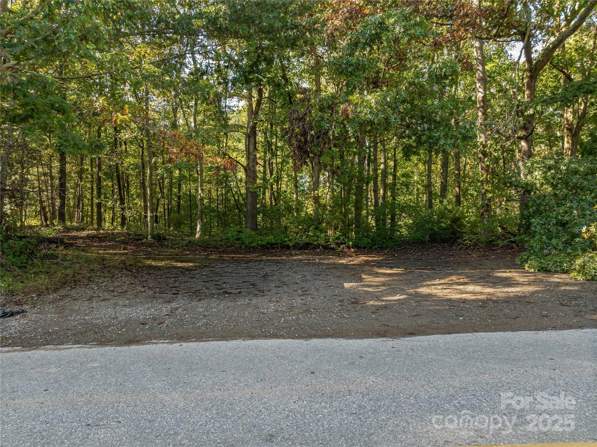99999 Hi Alta Avenue - Photo 9