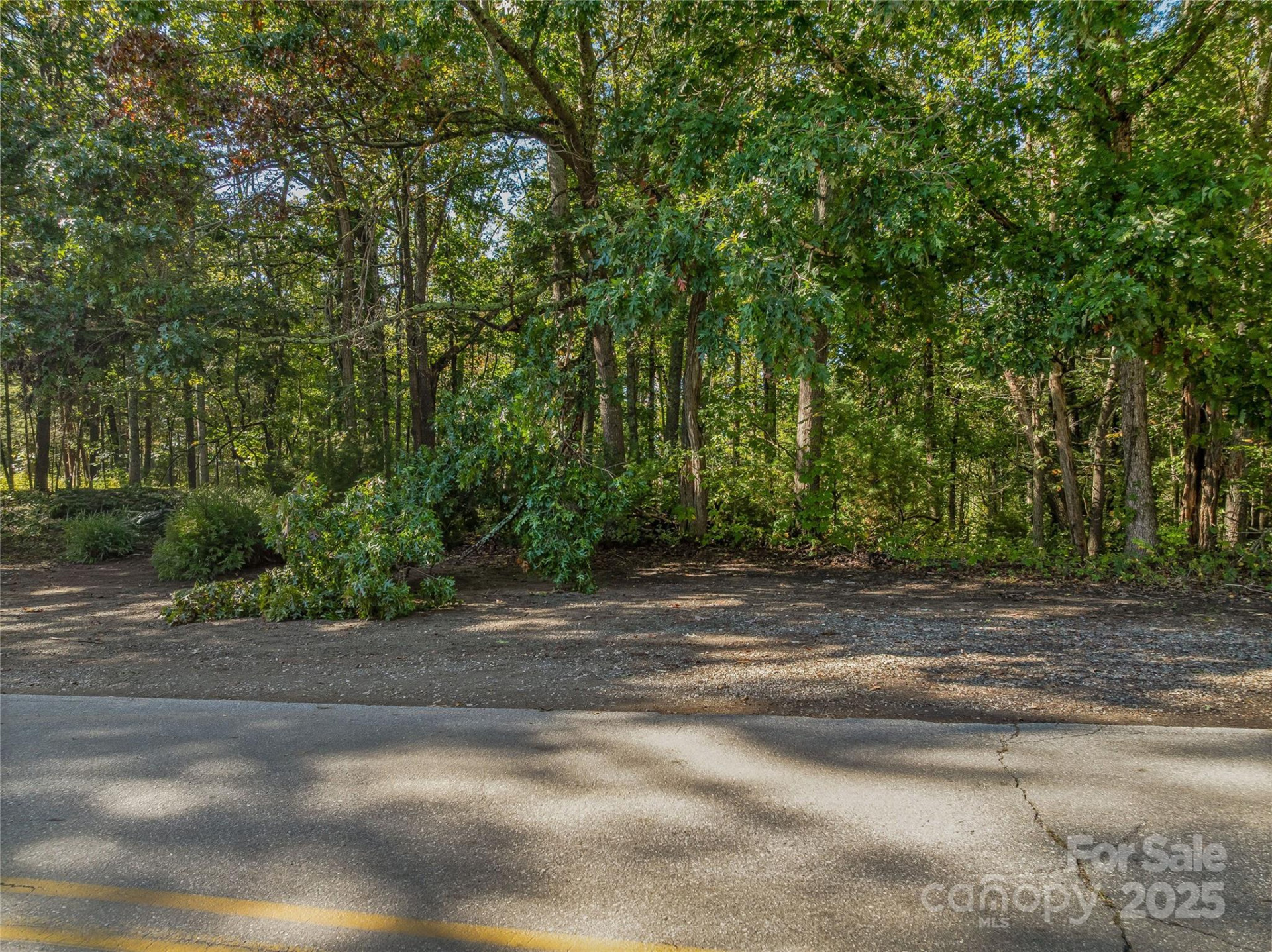 99999 Hi Alta Avenue - Photo 10