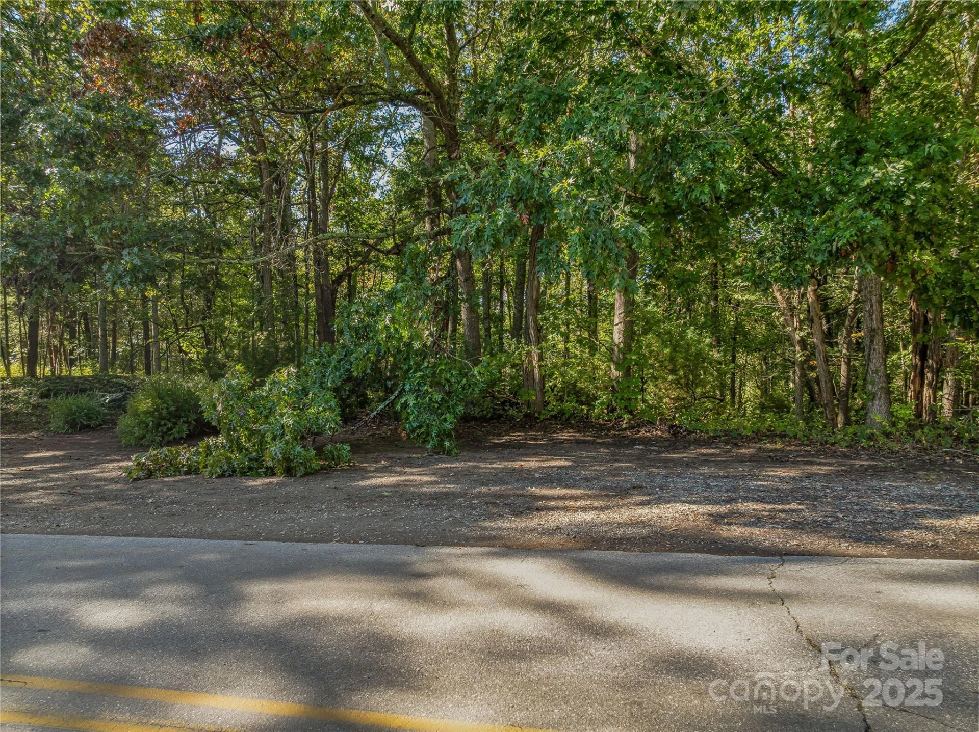 99999 Hi Alta Avenue - Photo 10