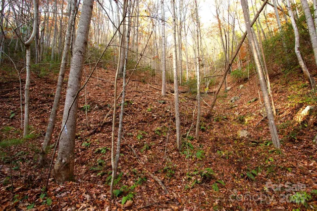 TBD Rector Branch Road