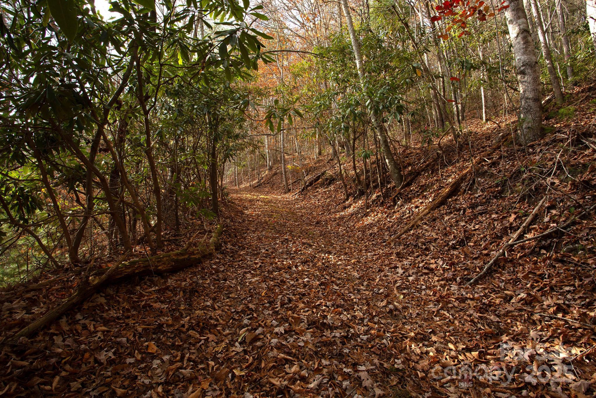 TBD Rector Branch Road #4 - Photo 2